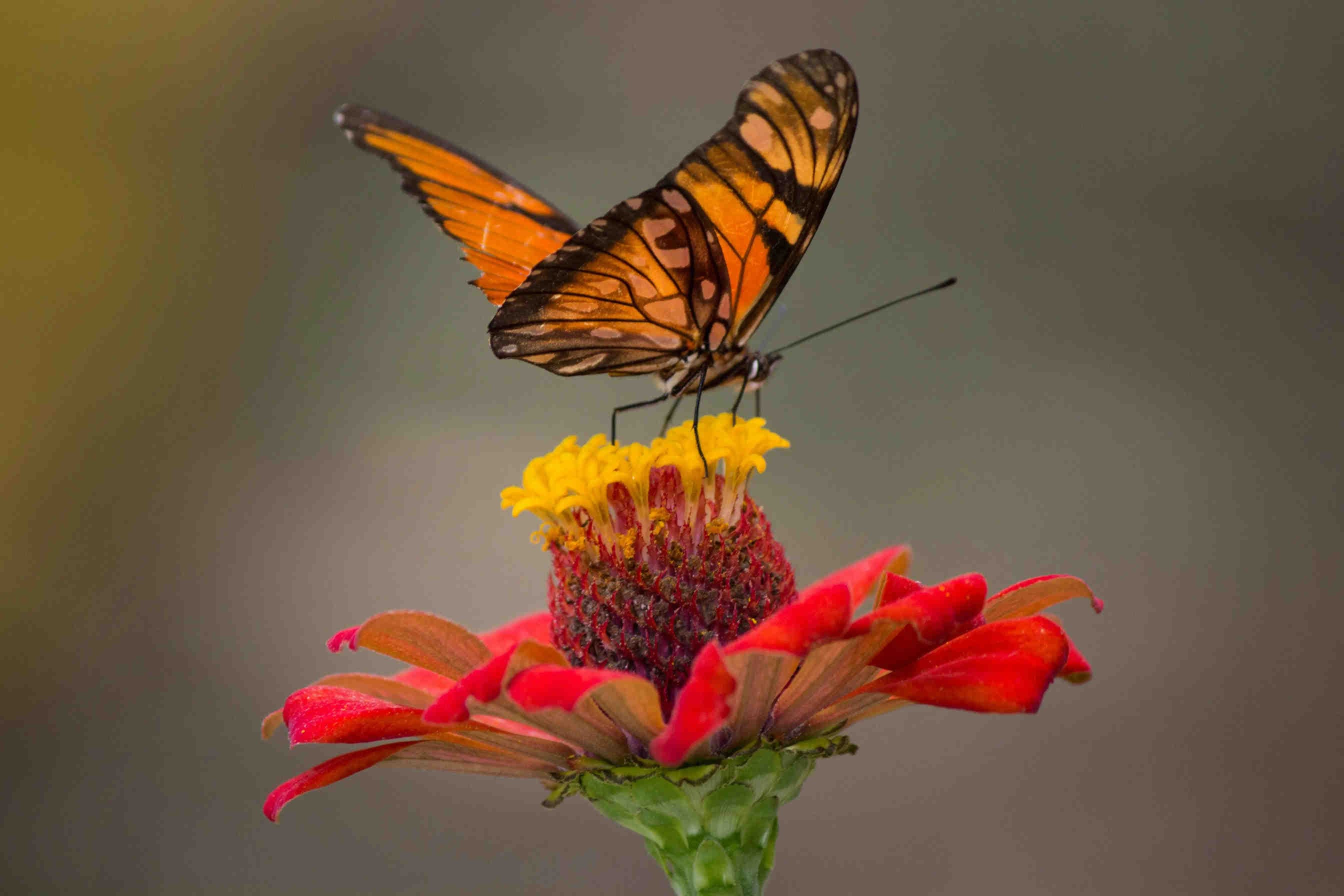 3bee-blog-perché-preservare-la-natura-e-cruciale