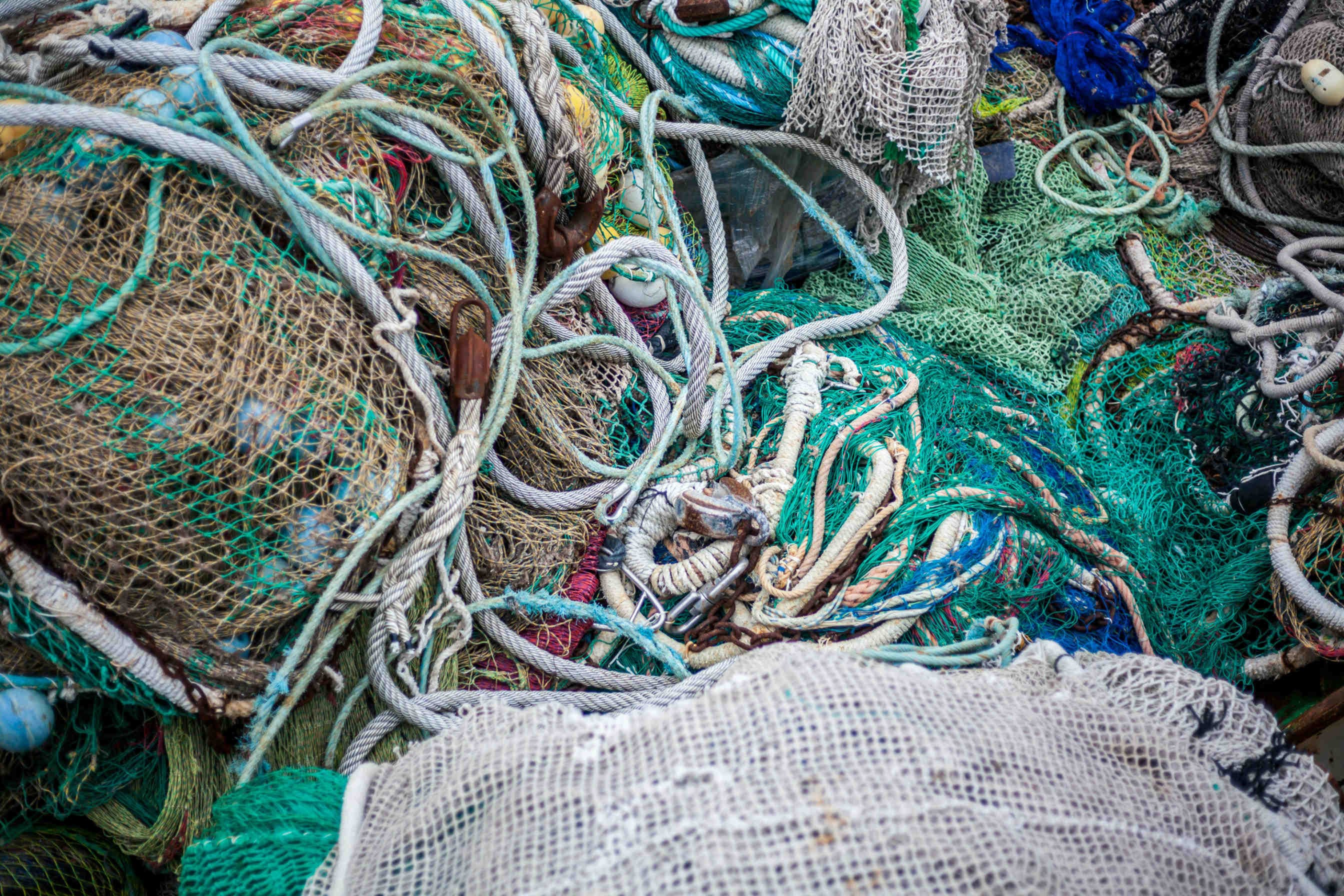 bycatch minaccia mola mola e plastica