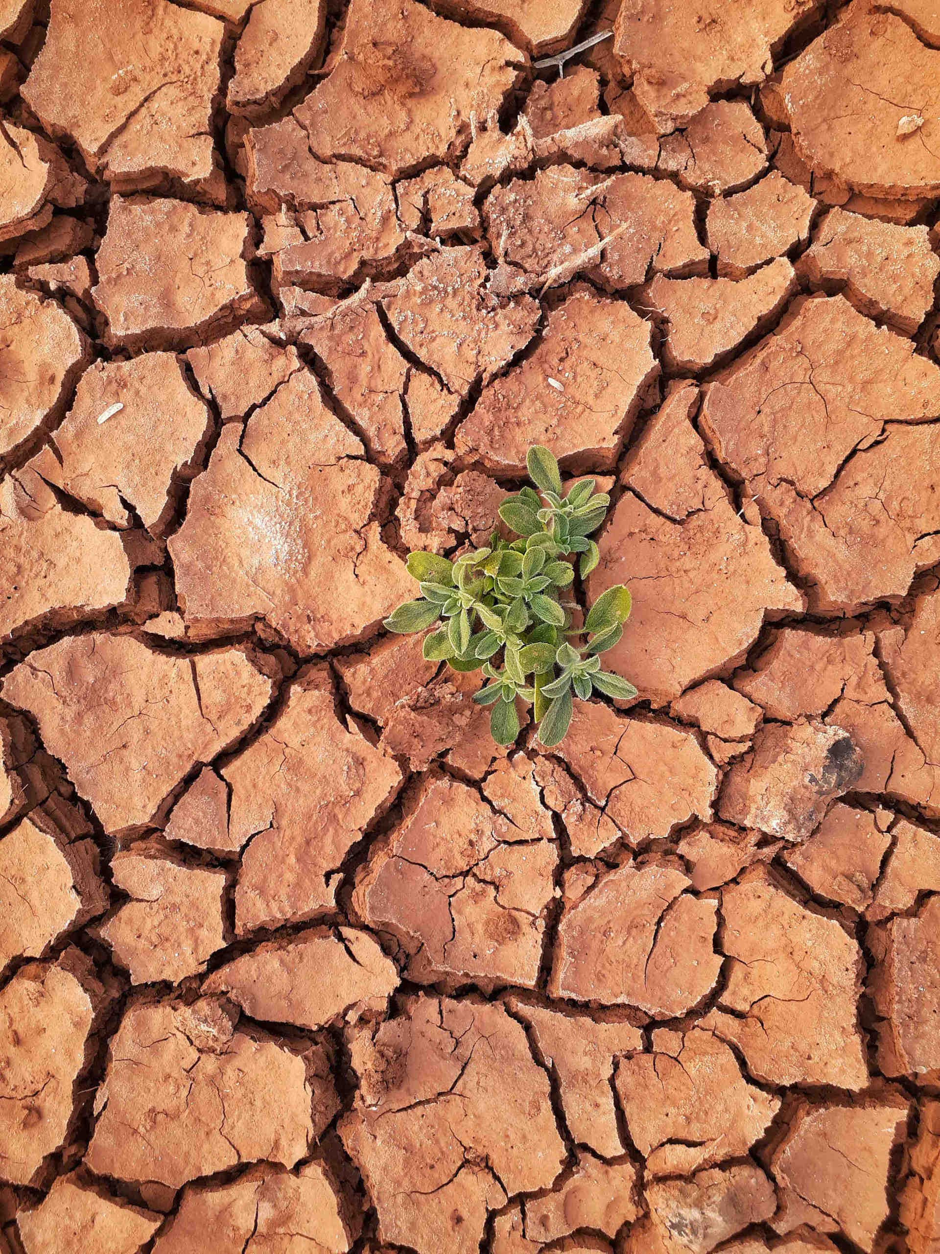 Sujet brûlant : le réchauffement climatique