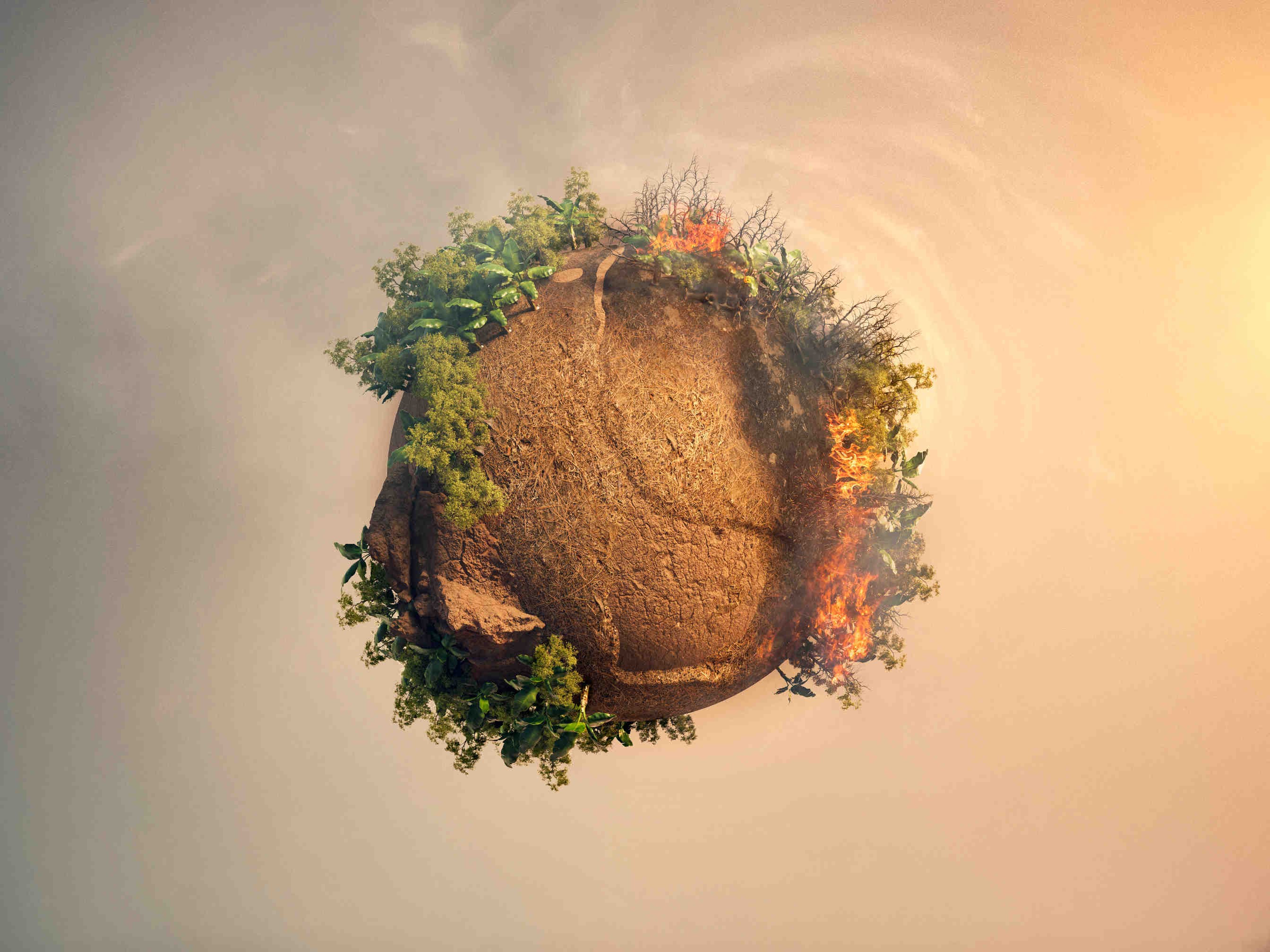 effetti cambiamento climatico