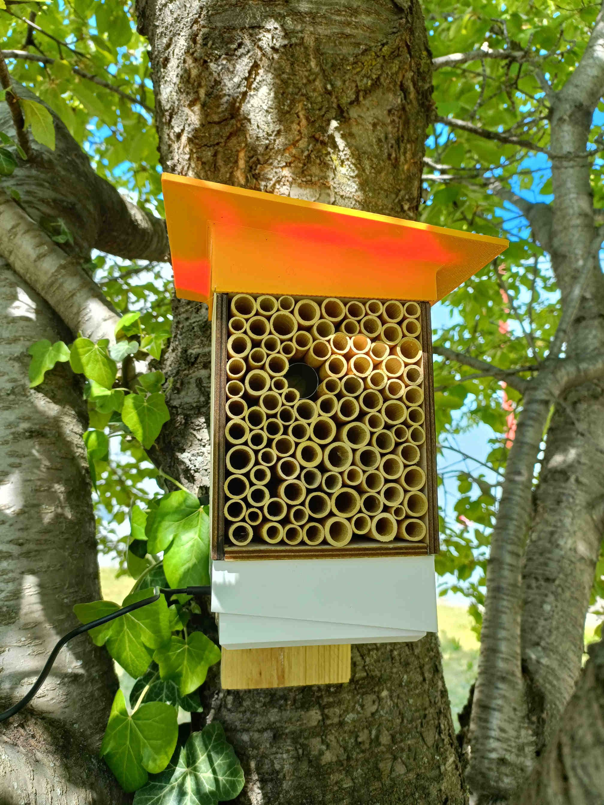 Biodiversité urbaine von 3Bee