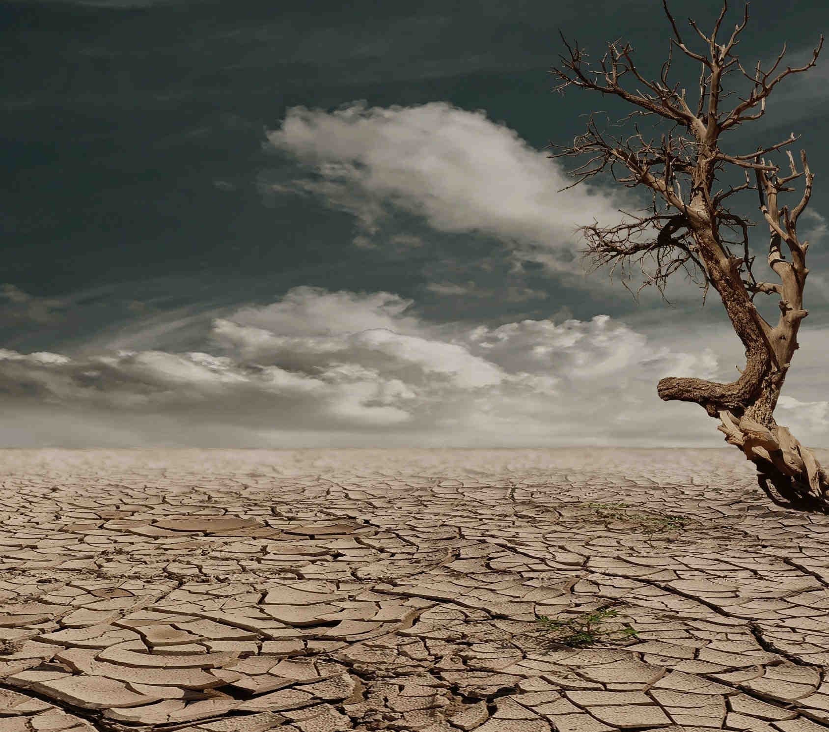 Sechster IPCC-Bericht: Klimawandel und die Dringlichkeit zum Handeln