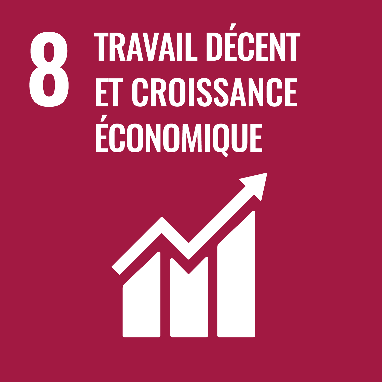ODD n°8 : Travail décent et croissance durable