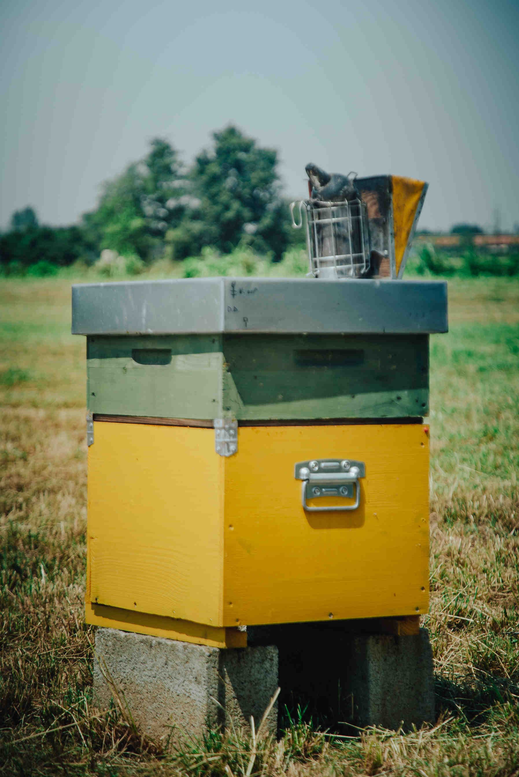 L’alveare aziendale