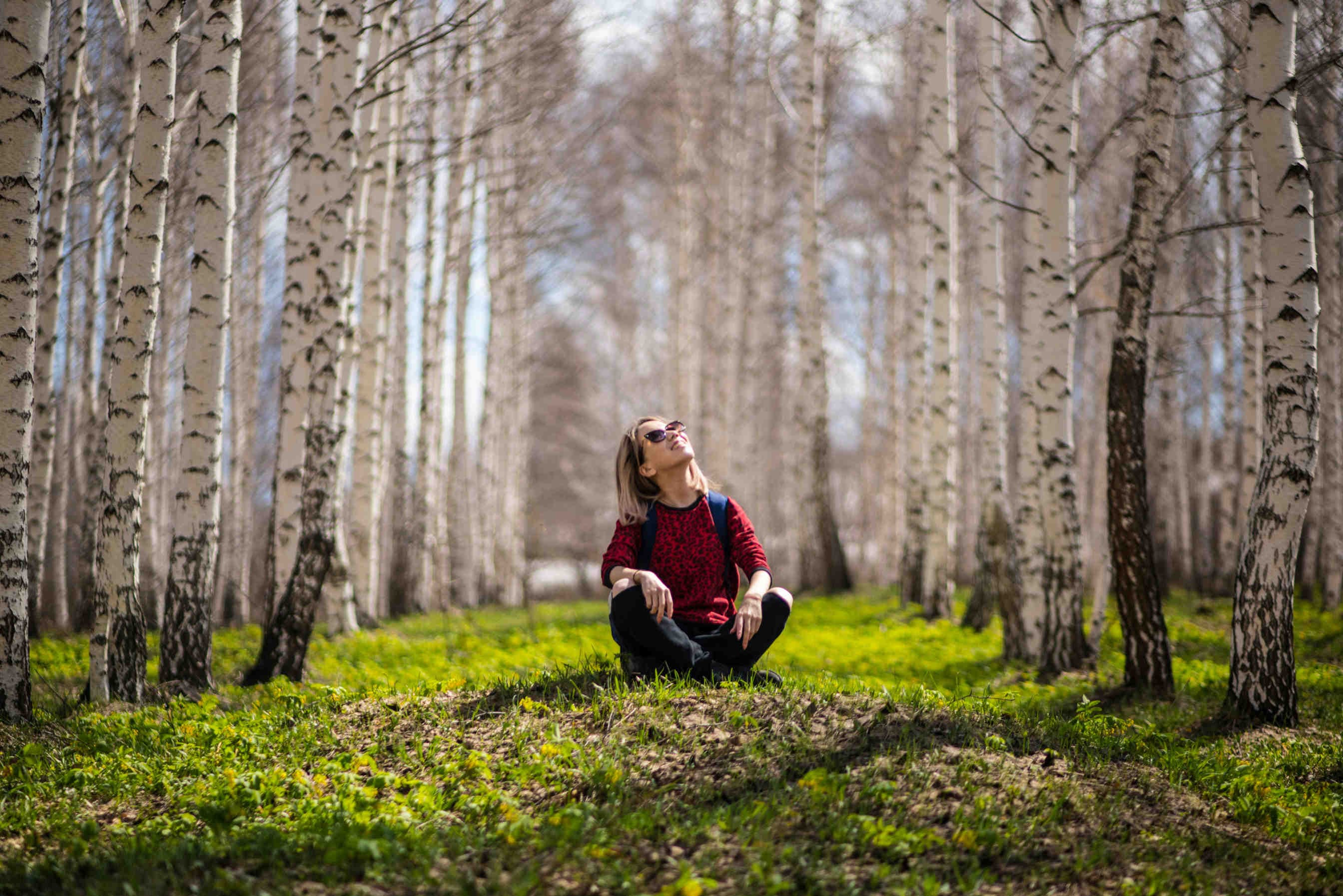 persona in foresta di betulle
