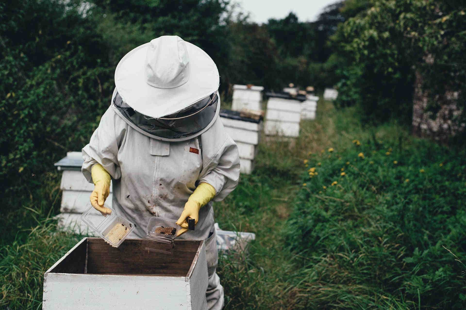 A difficult honey to produce