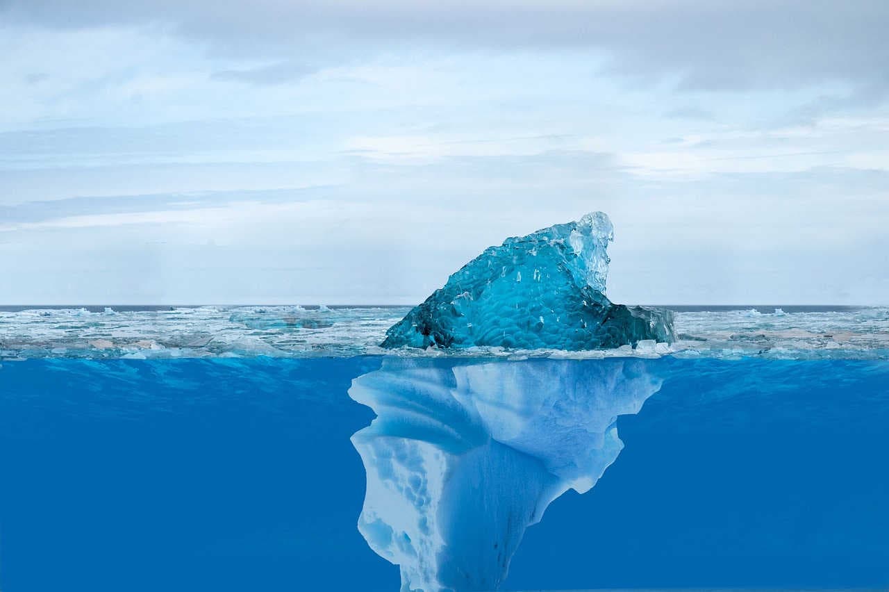 Eisschmelze öffnet die Tür zu fremden Arten