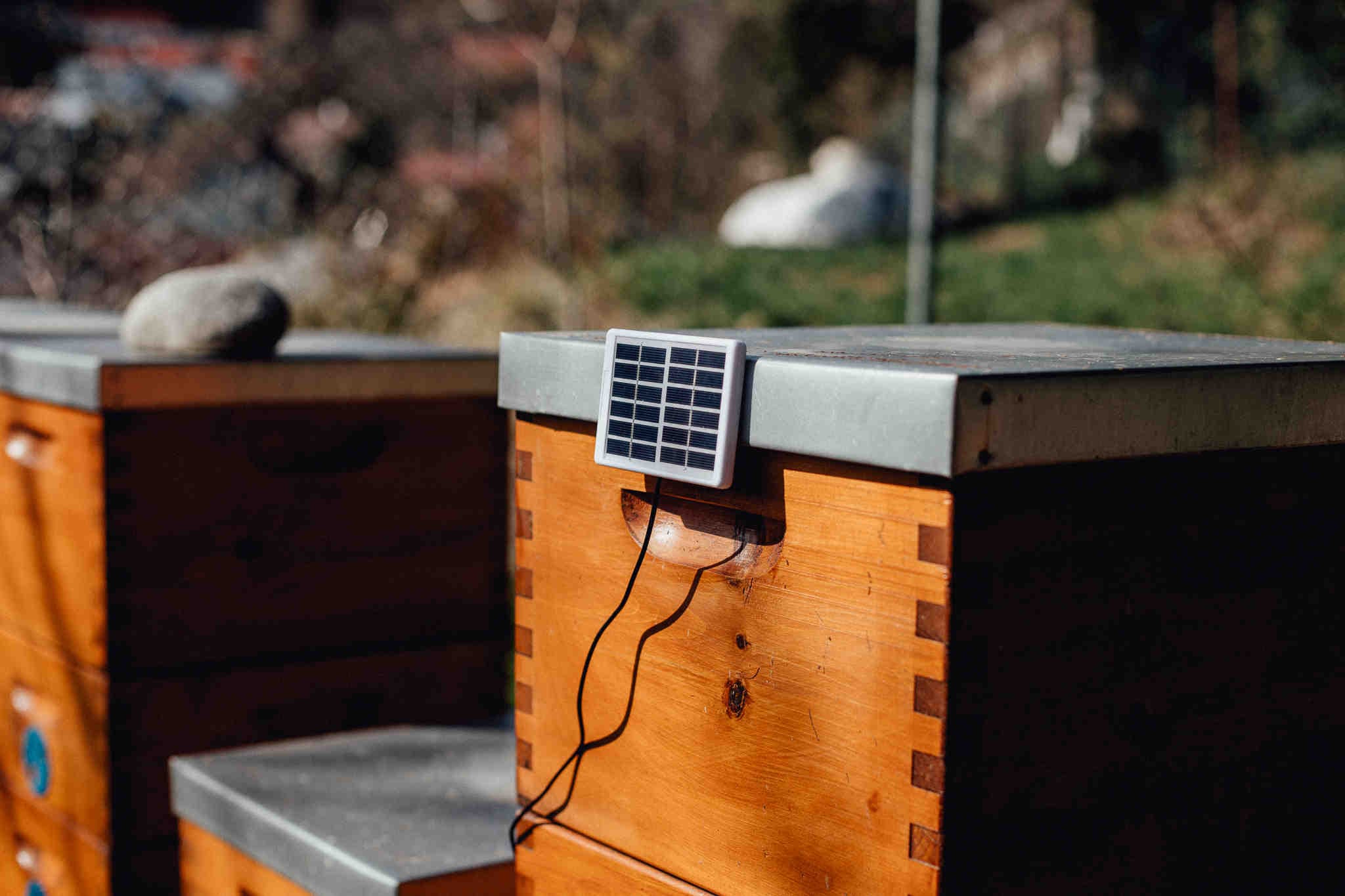 Tecnologia e sistemi di monitoraggio da remoto 3Bee