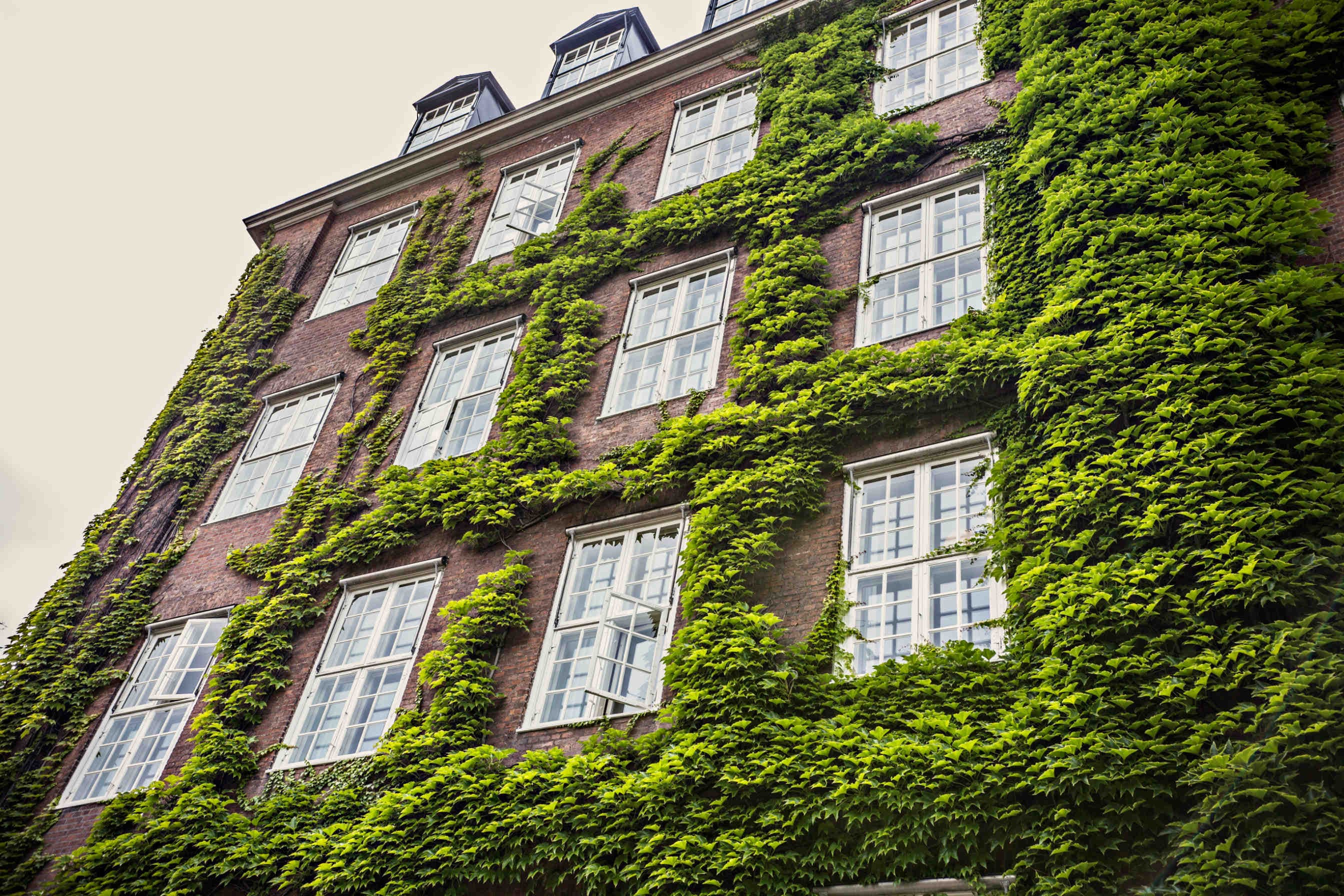 bioarchitettura
