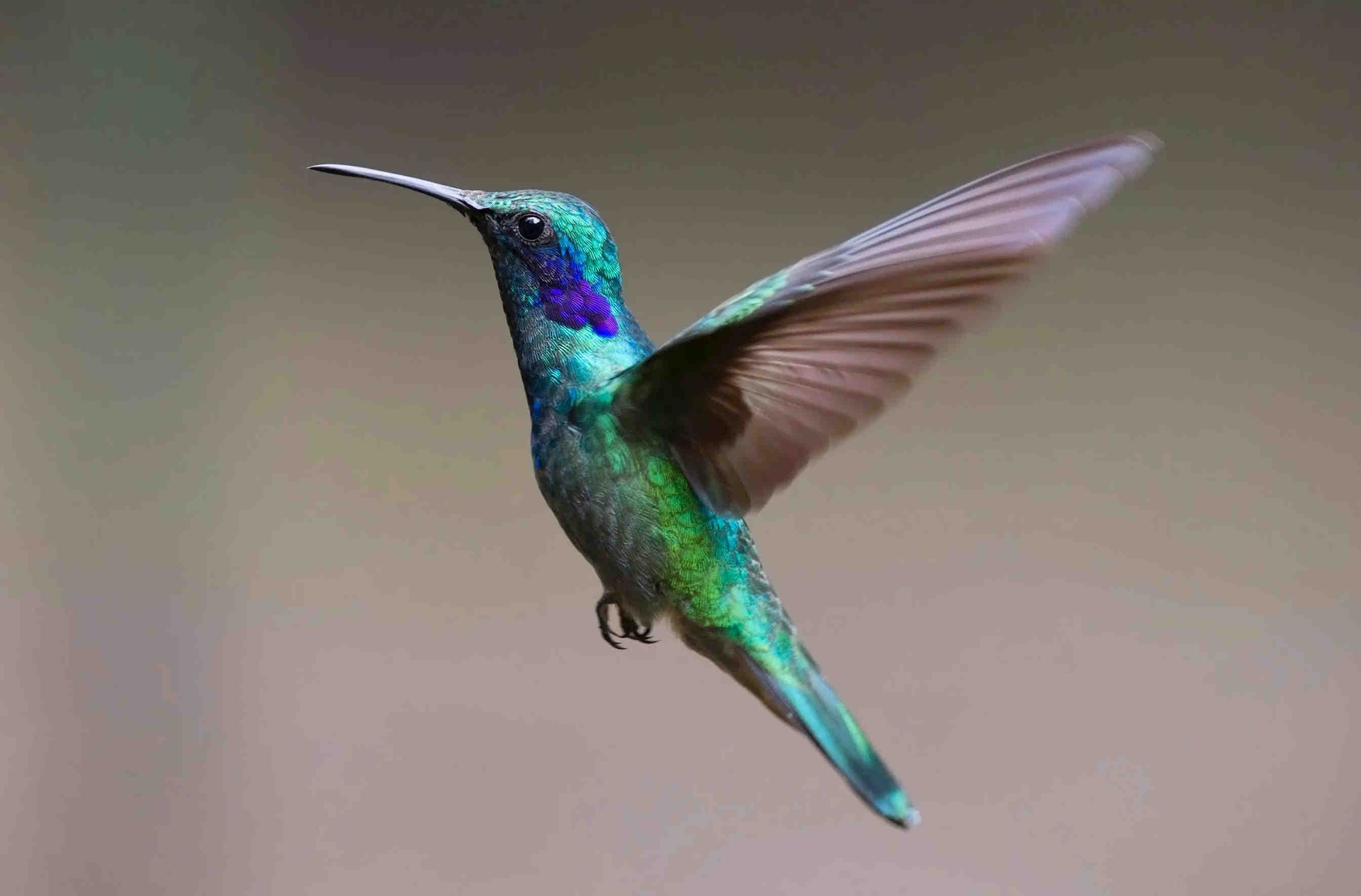 3bee-blog-definizione-di-natura-un-equilibrio-vitale