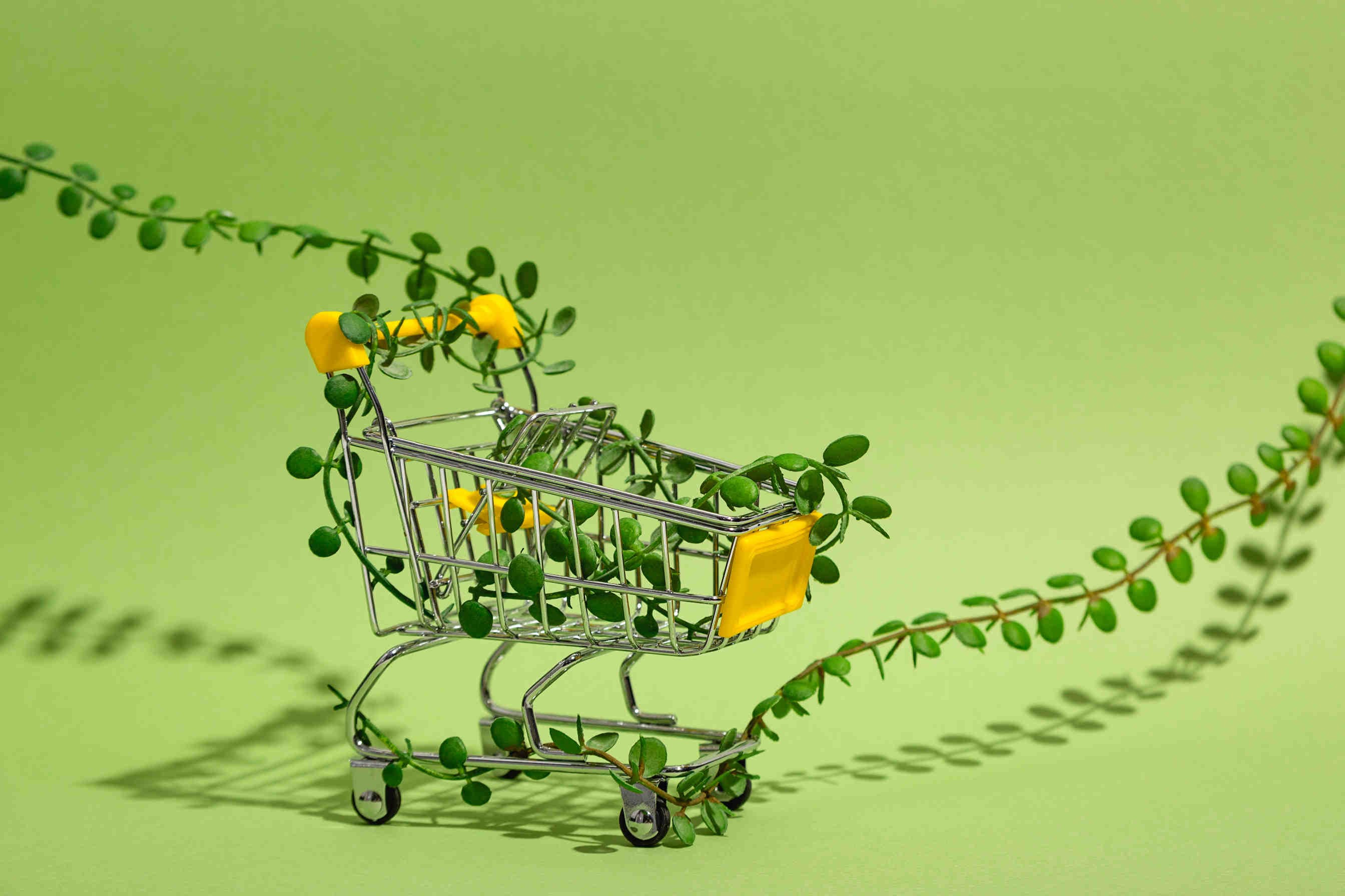 sostenibilità e scelte di consumo