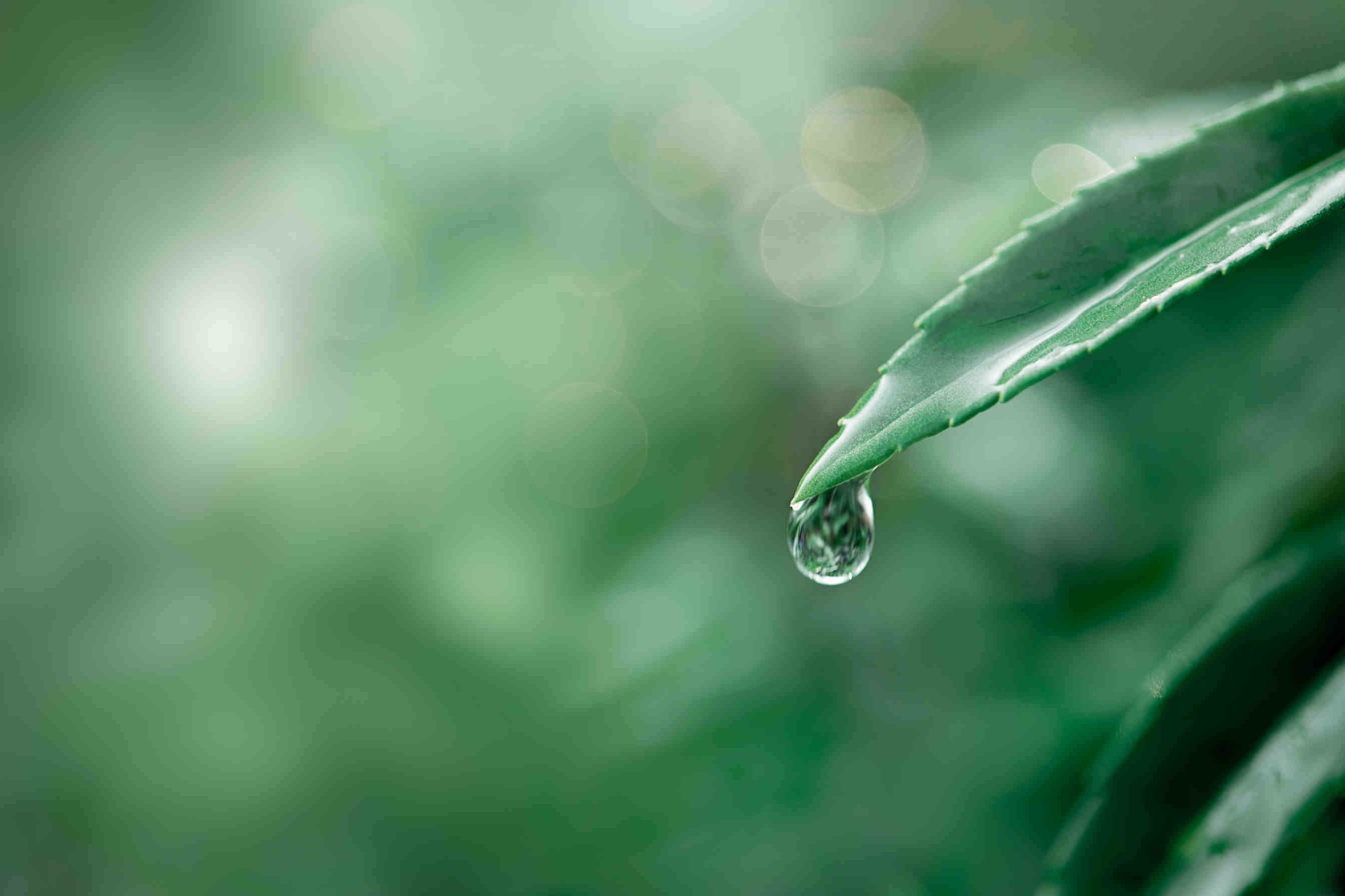 Cosa prevede l’Accordo di Parigi sul clima?