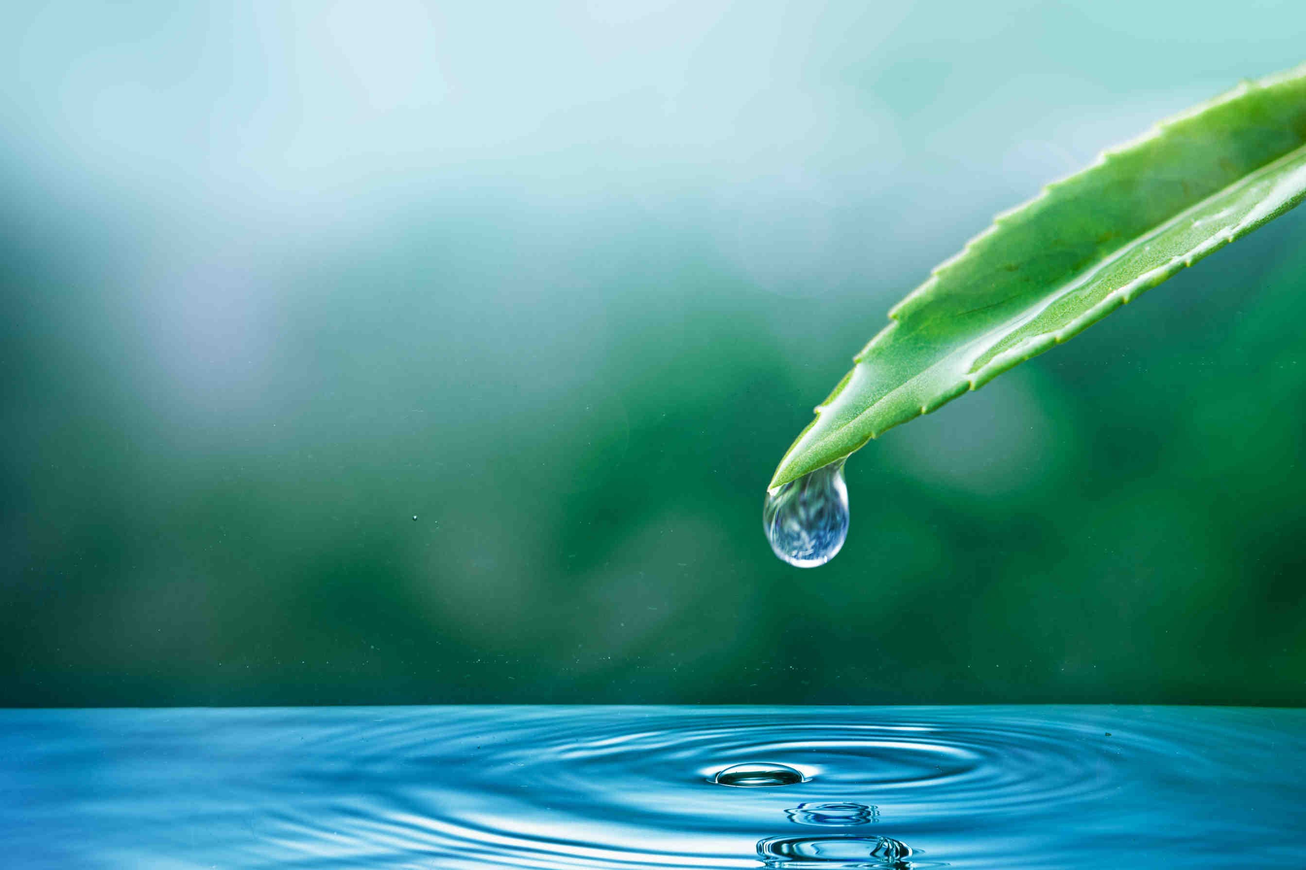 acqua goccia
