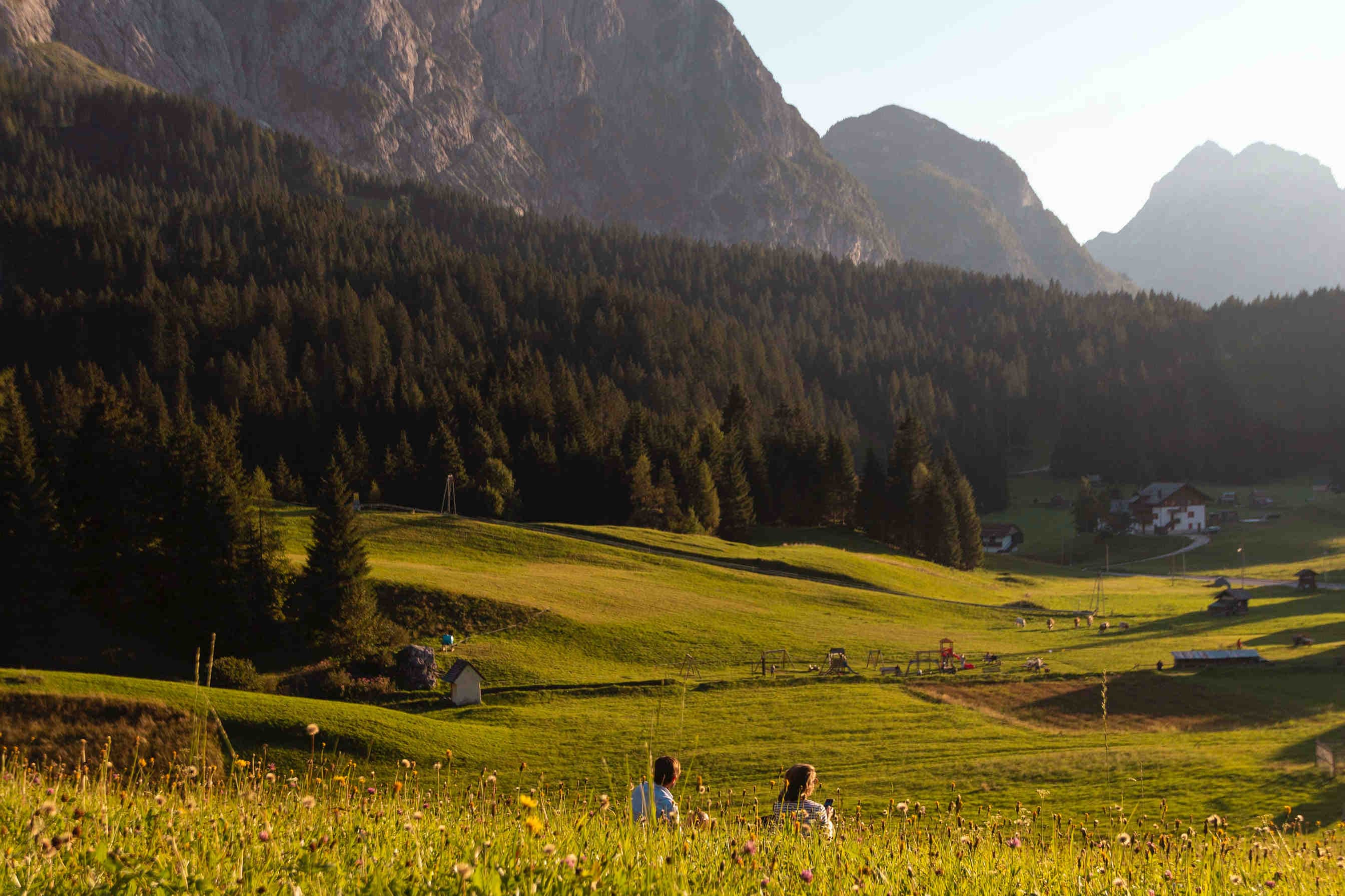 Wildblütenhonig aus den Bergen: Merkmale und Vorteile