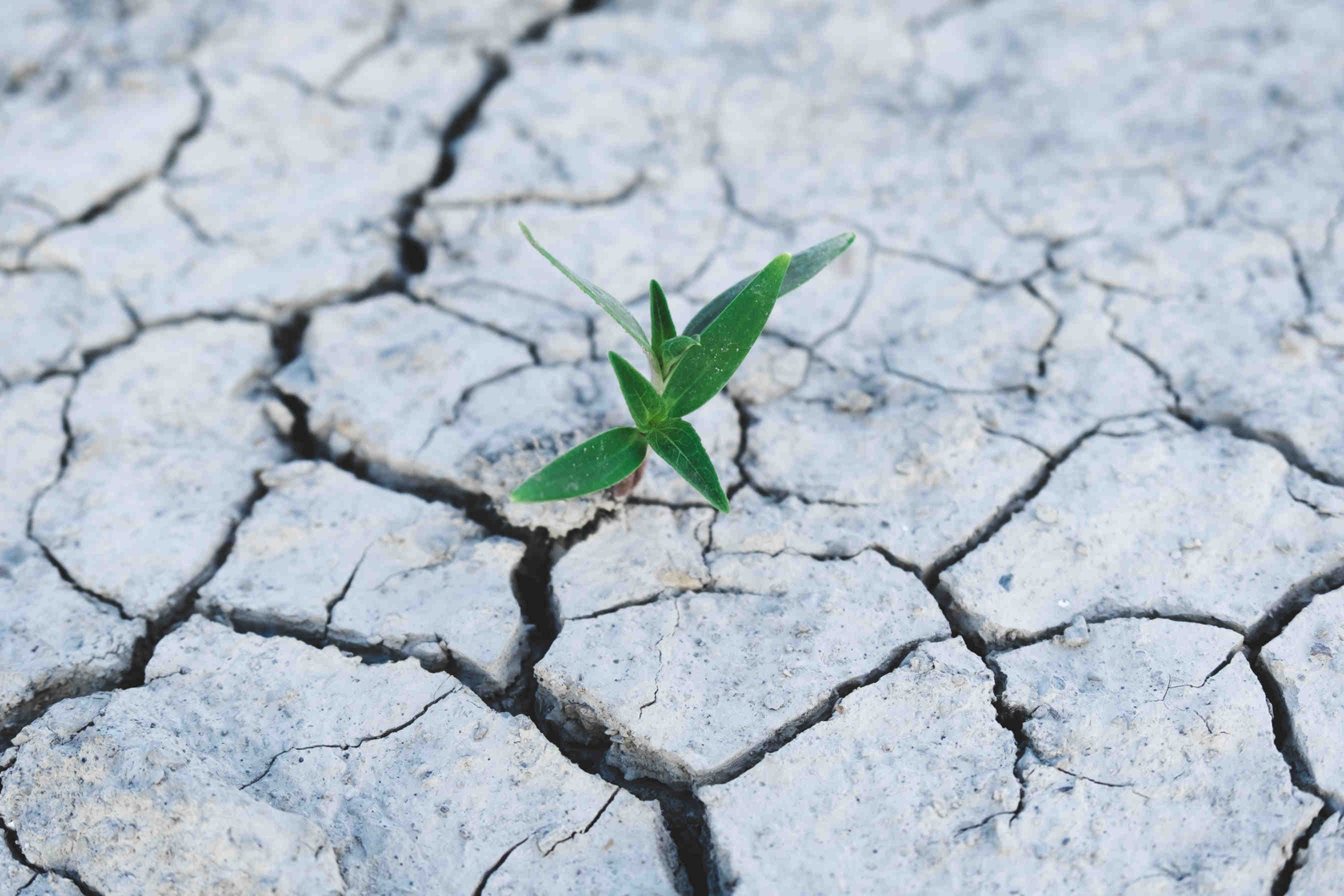 climate change