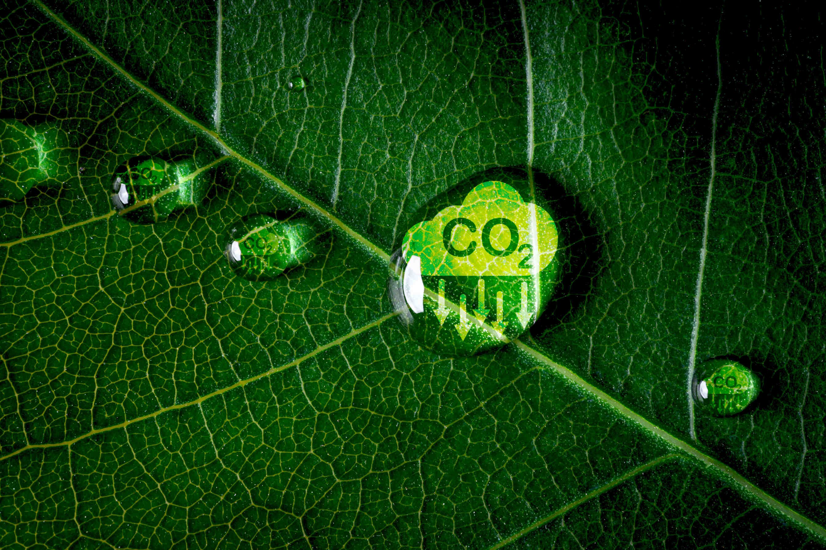 Il credito di carbonio è un certificato