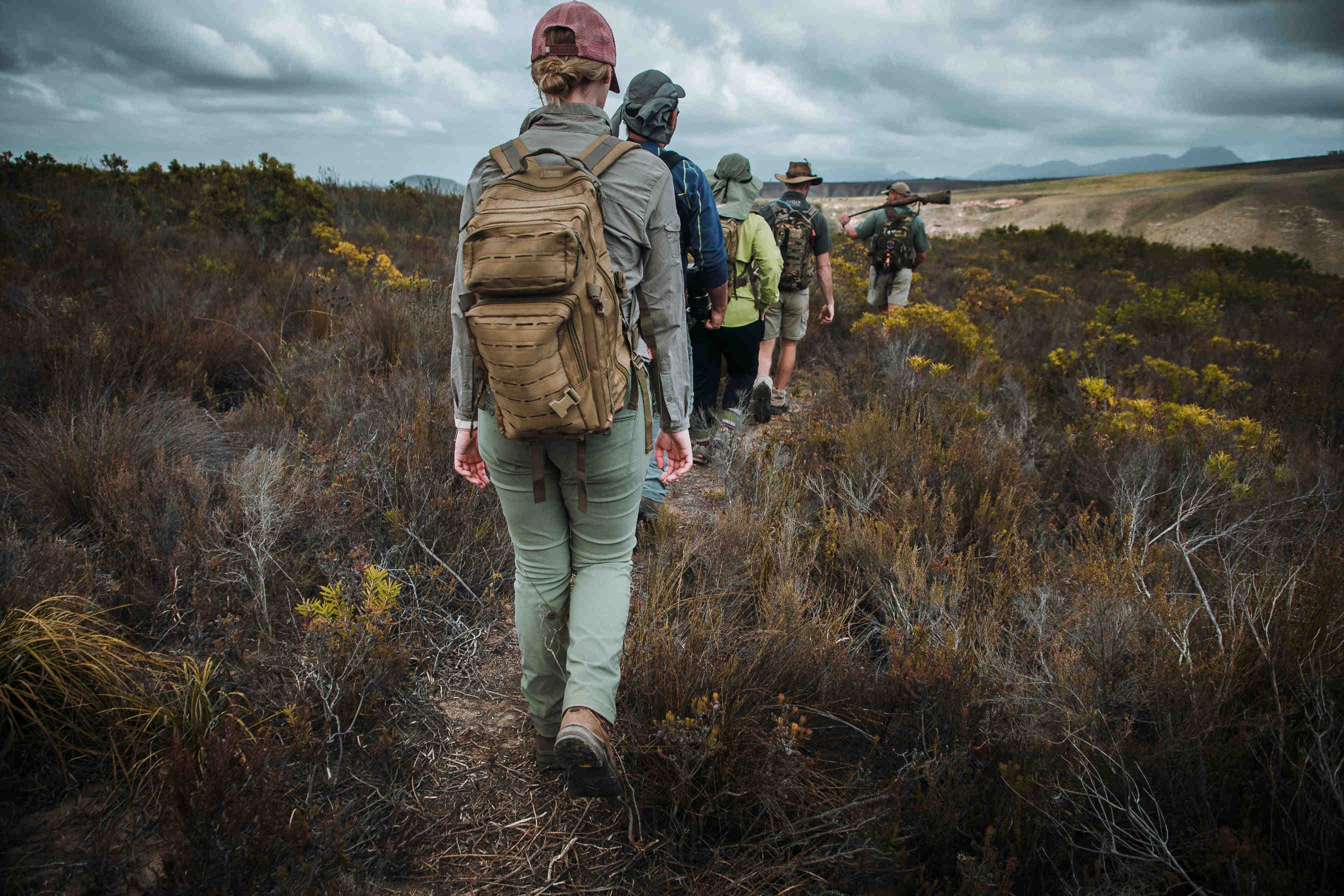 un groupe de gens marchent dans une réserve naturelle