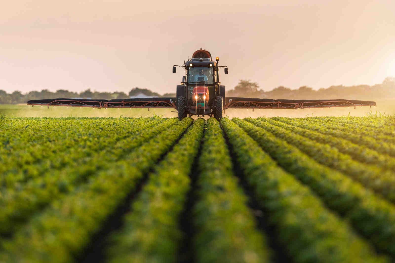 Insetticidi: sostenibilità, necessità alimentare e sfide ambientali