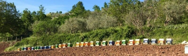 Società Agricola Antichi Sapori