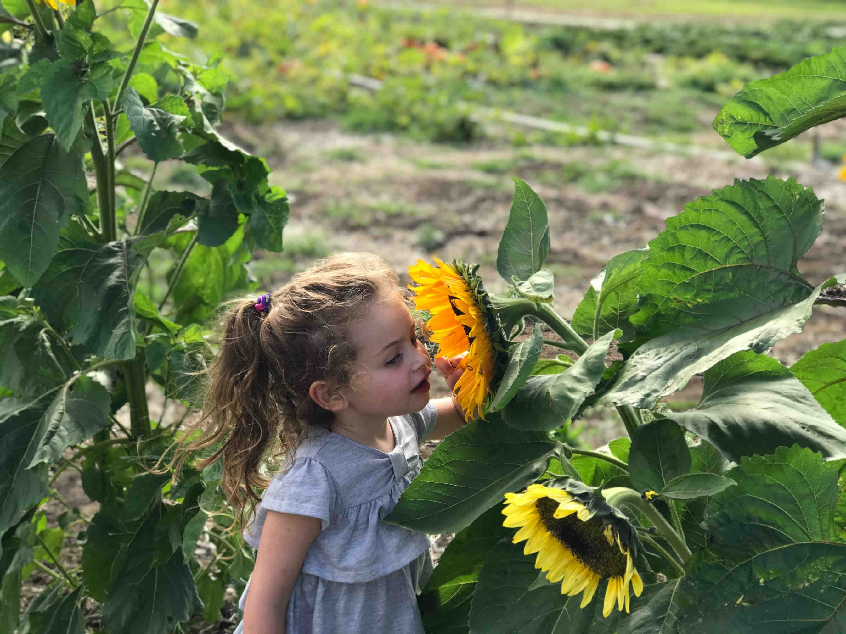 Expliquer l'importance des abeilles aux enfants