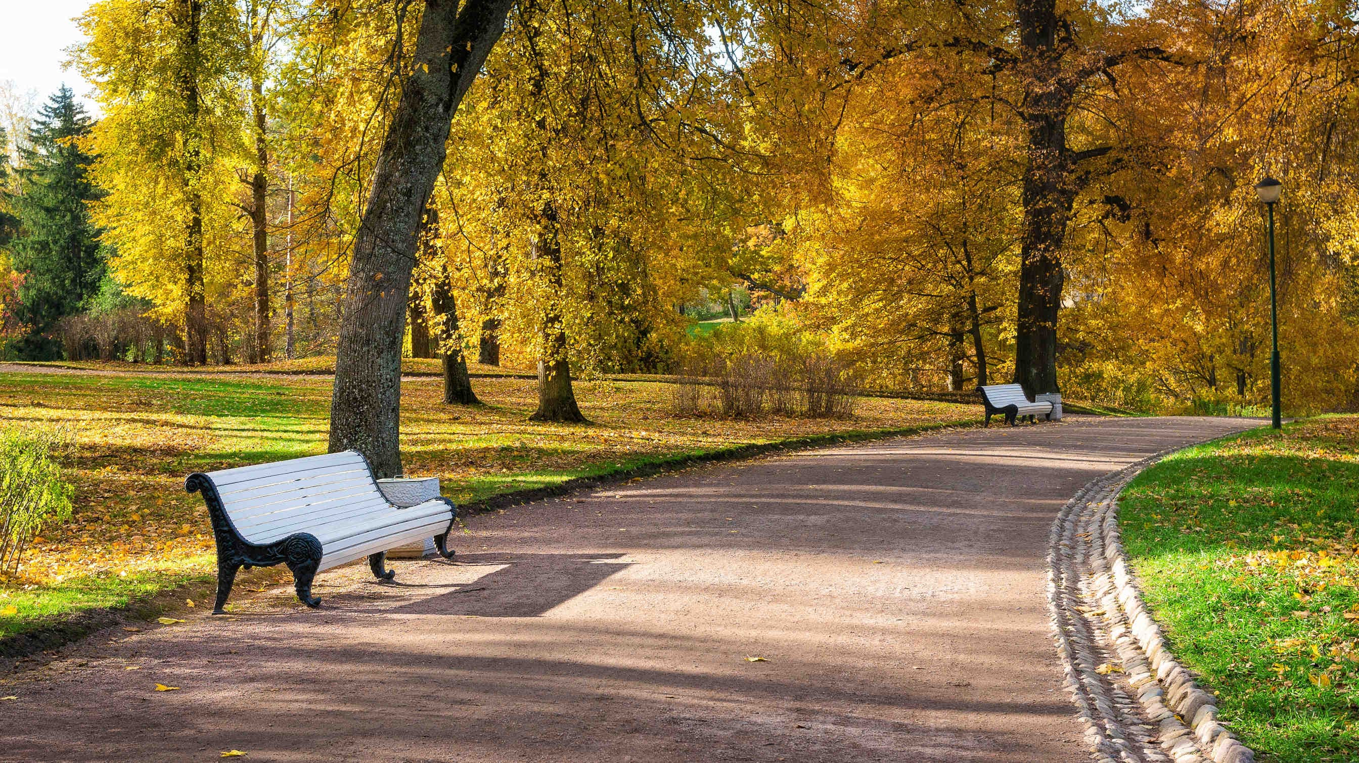 panchina parco urbano