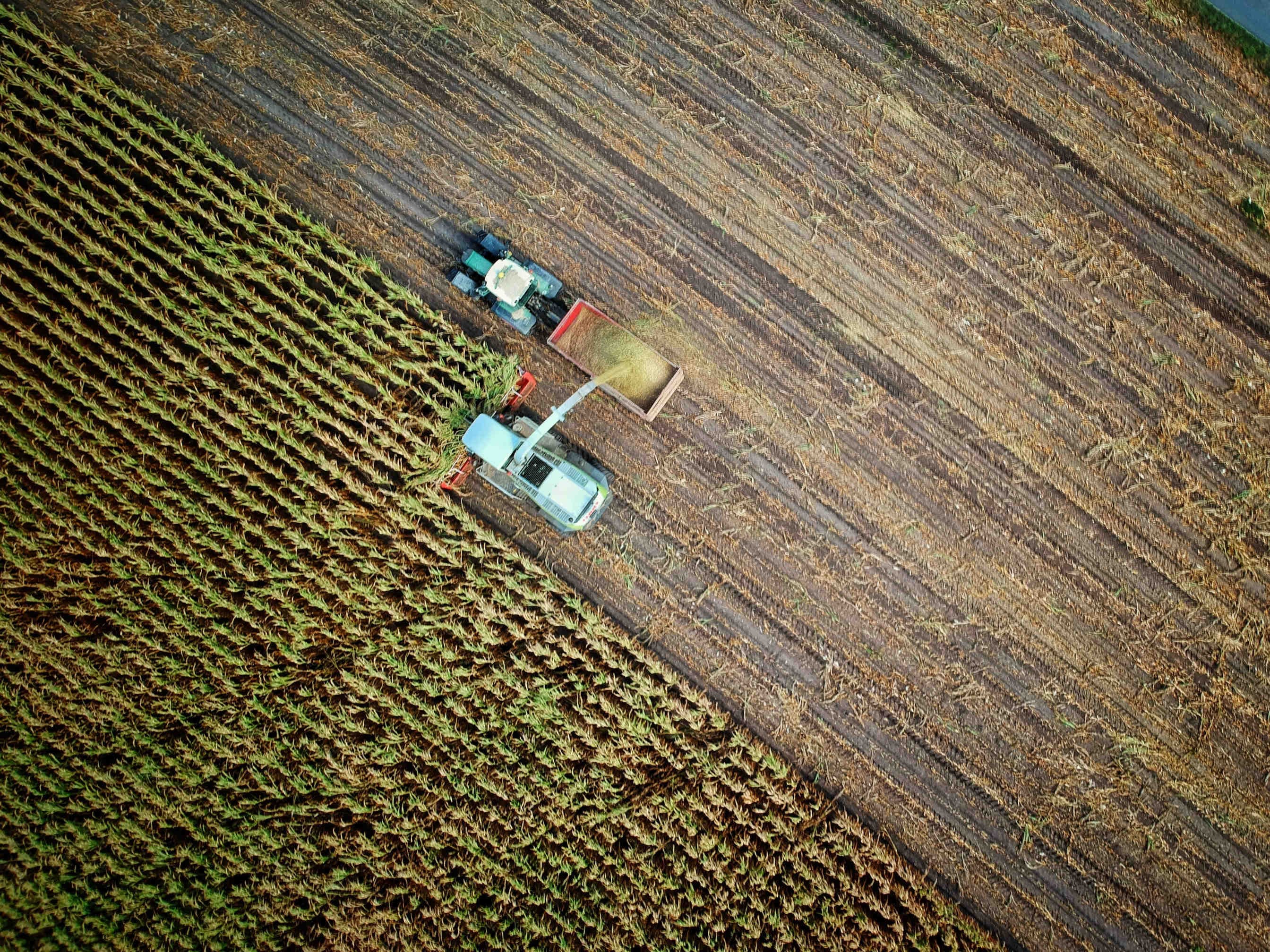 Un déclin silencieux qui aura un impact dévastateur