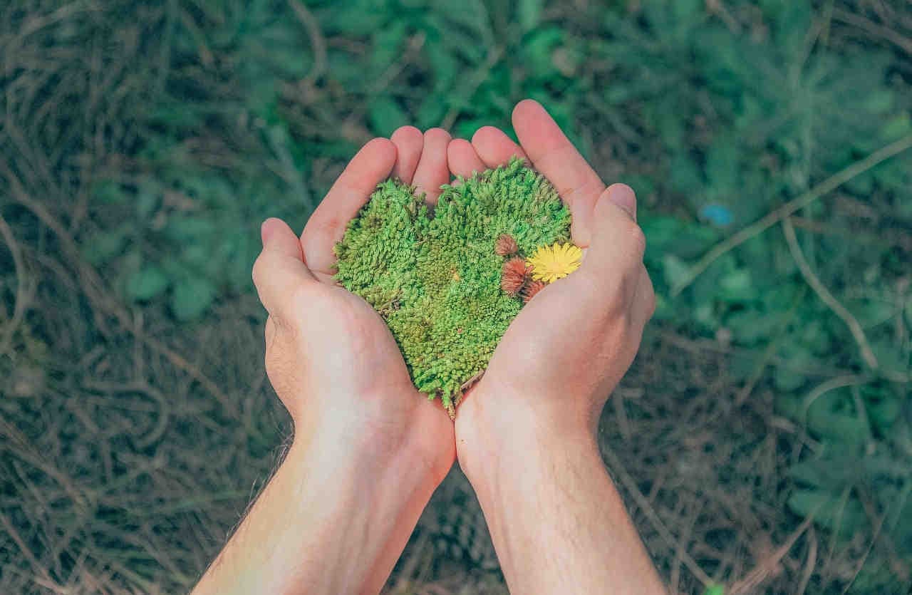 Rendicontazione di sostenibilità: gli ESRS Environment