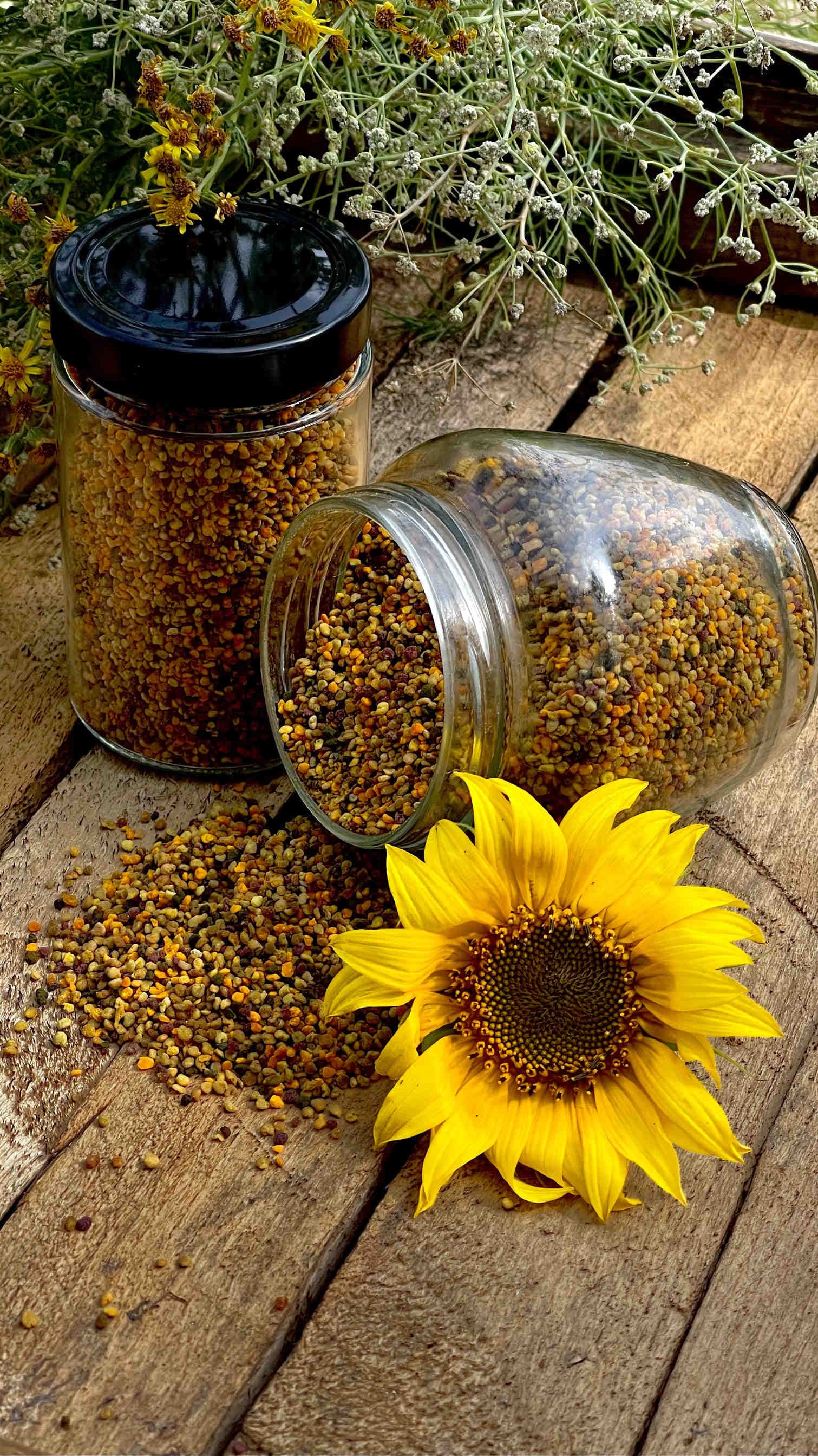 Sunflower honey: benefits and properties