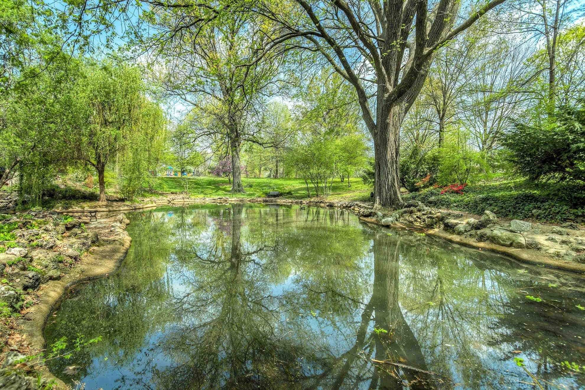 un étang entouré d'arbres verts