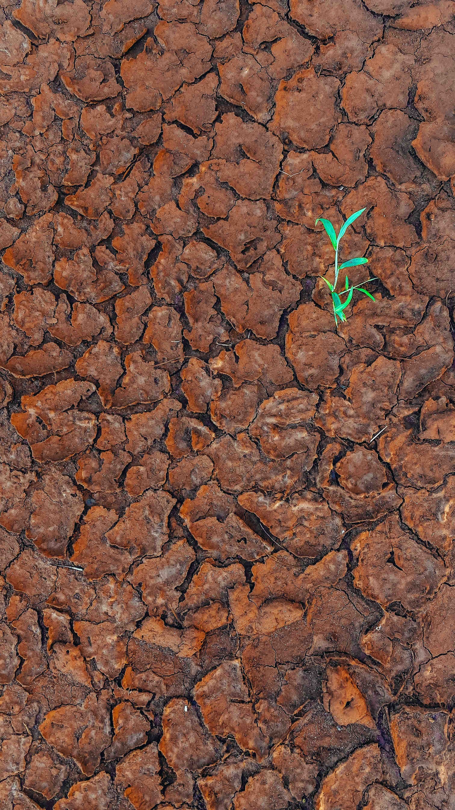 cambiamento climatico
