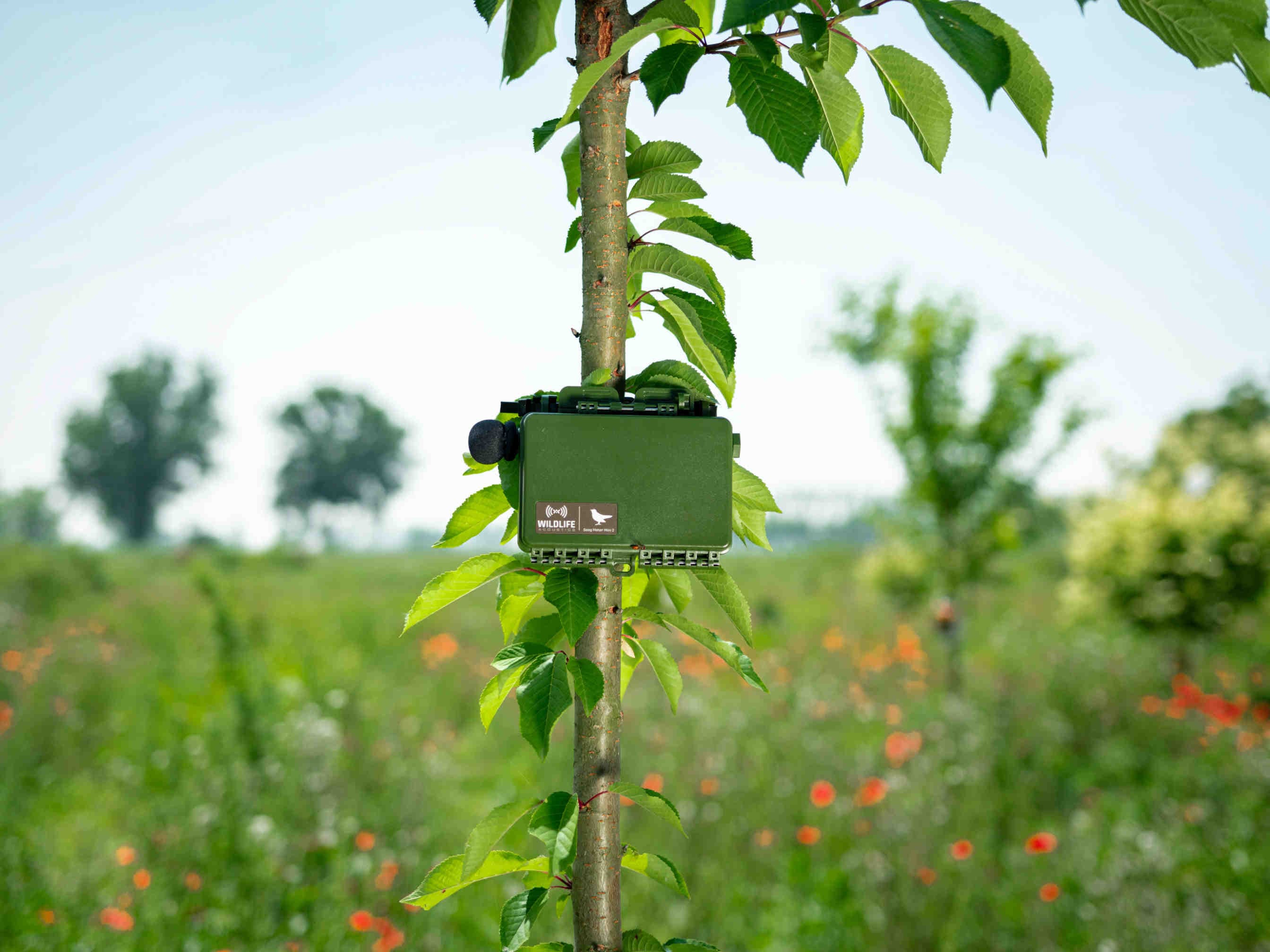 3bee-blog-dashboard-XNatura-monitorare-biodiversita-clima-impatti