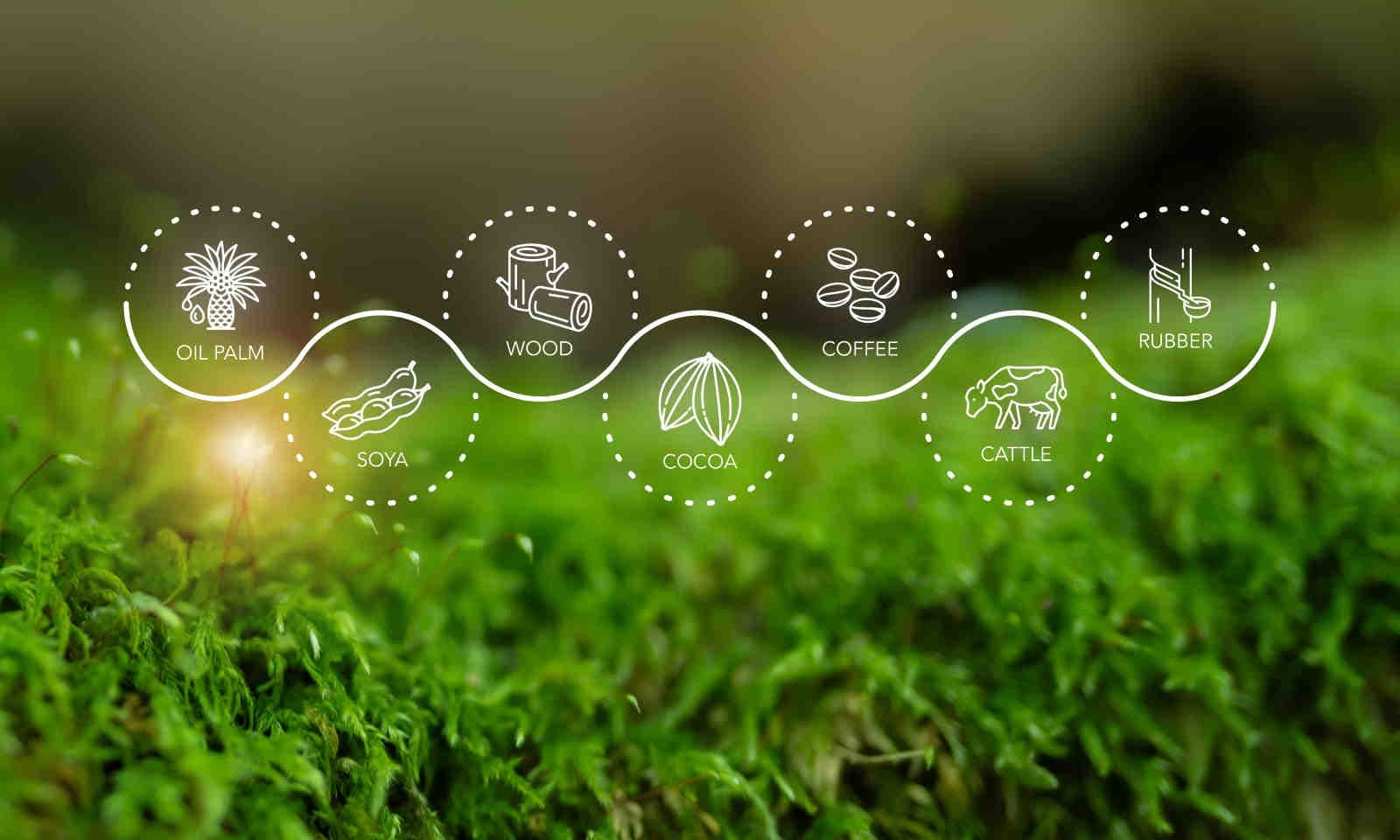 ESRS-E4-lo-standard-europeo-per-la-biodiversità