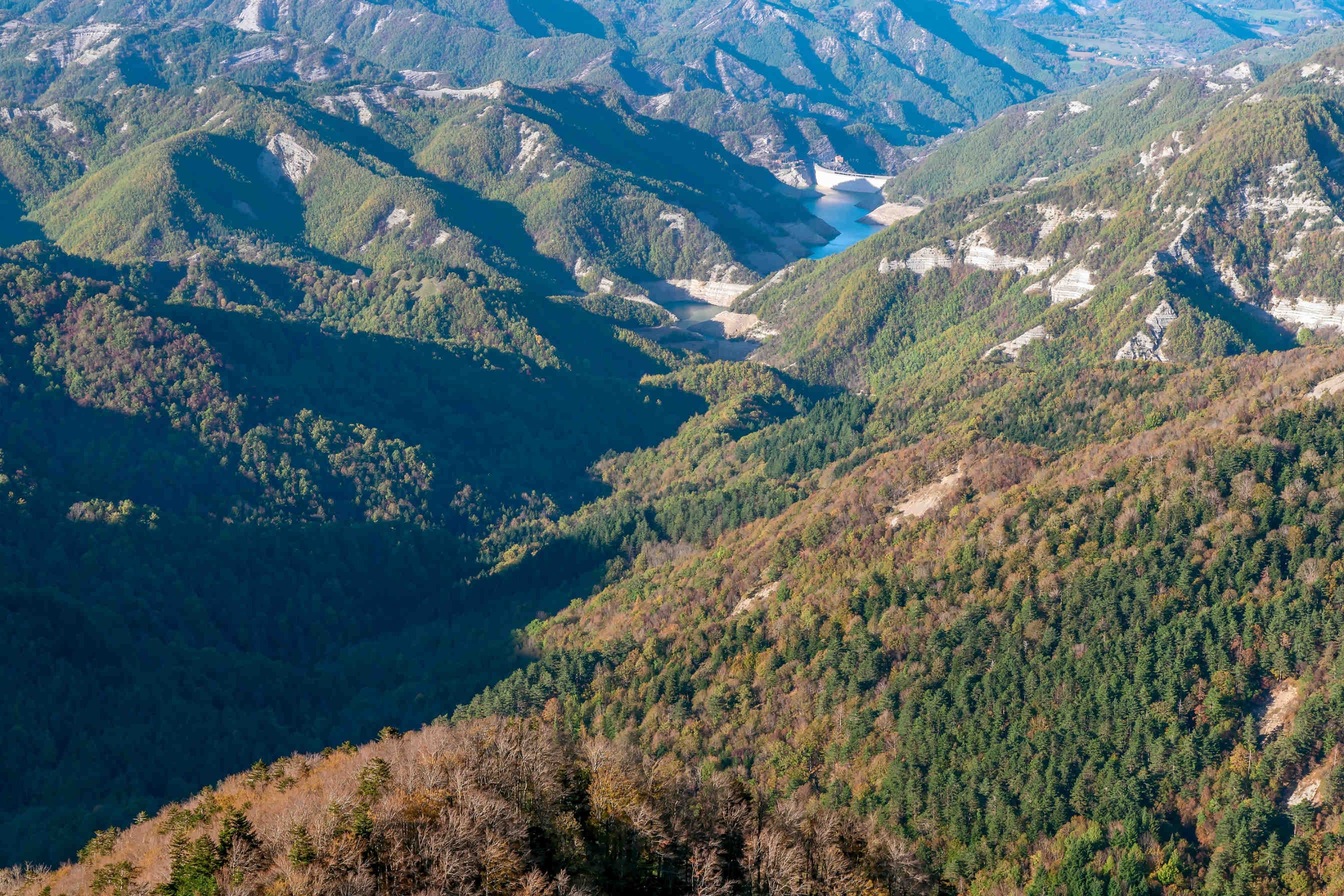 Più biodiversità più servizi ecosistemici