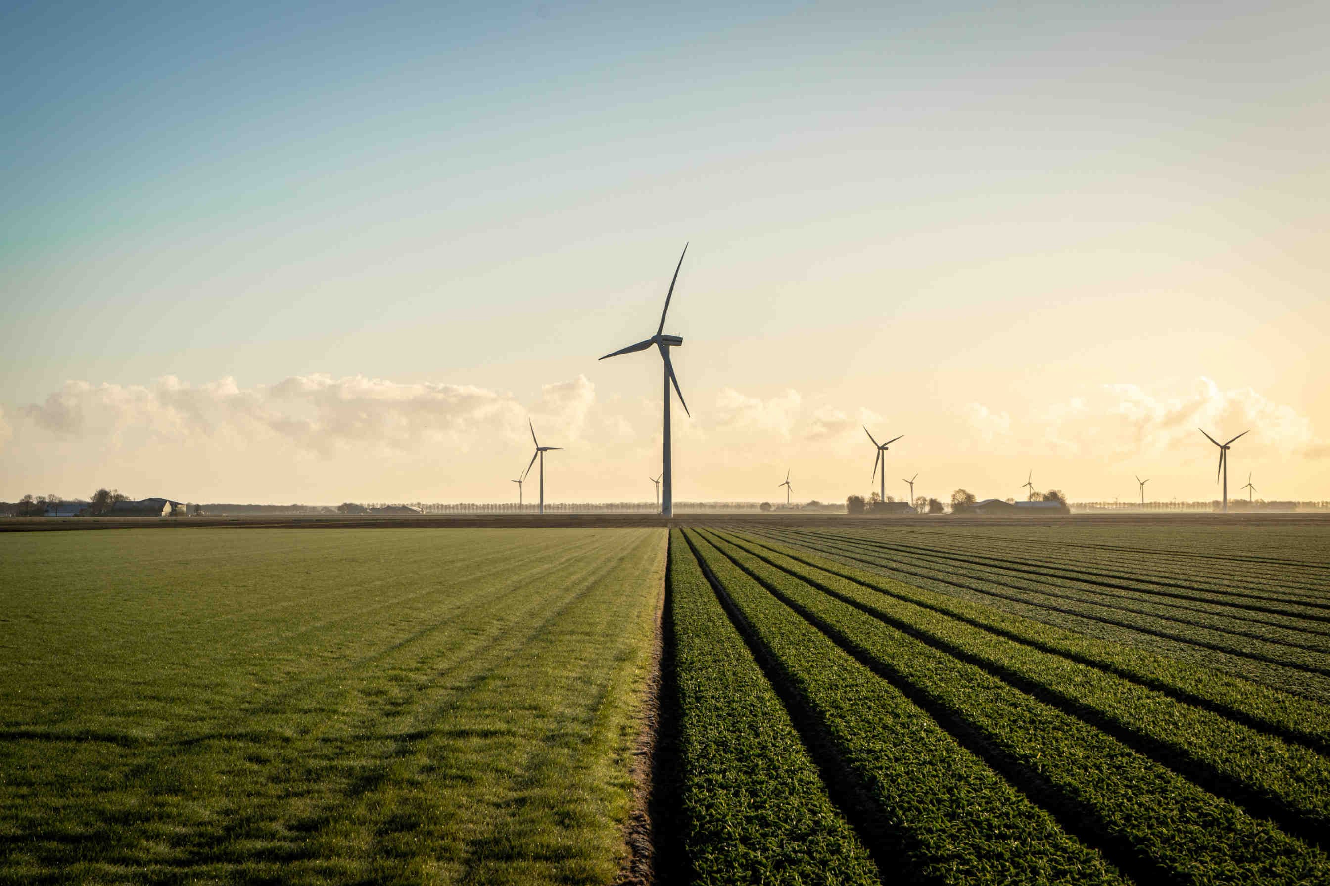 Symbiose entre énergie propre et biodiversité avec BEENERGY