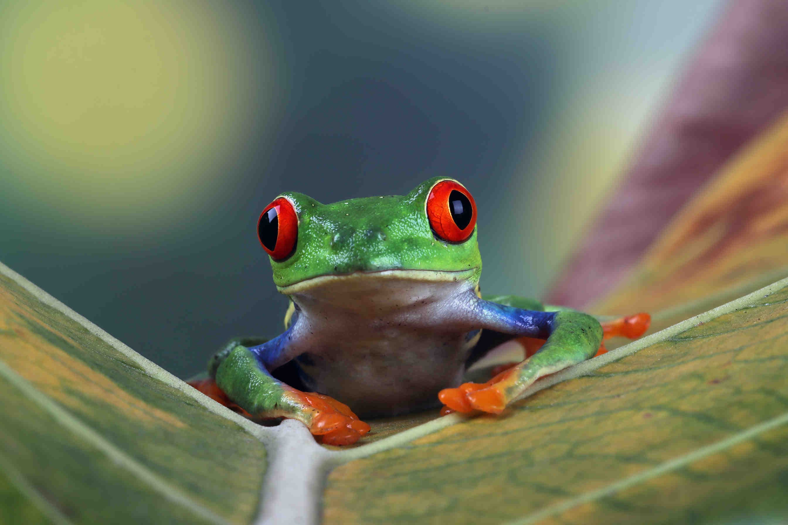 GRI biodiversità