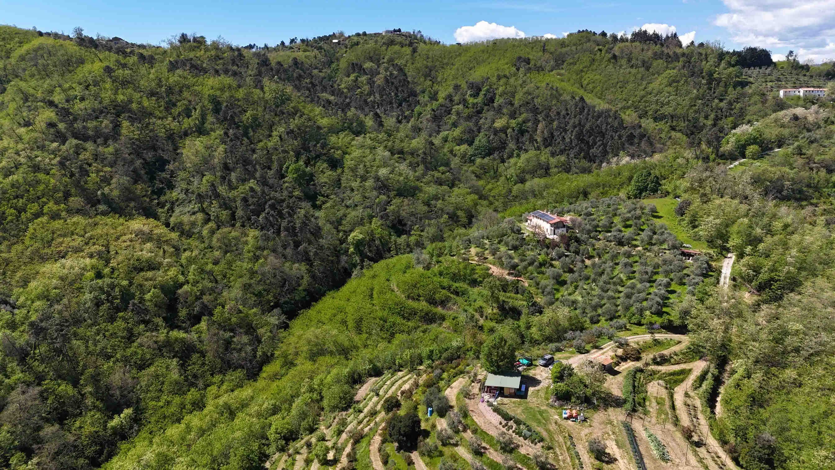 Gruppo Cassa Centrale: 19 Oasi della Biodiversità in Italia