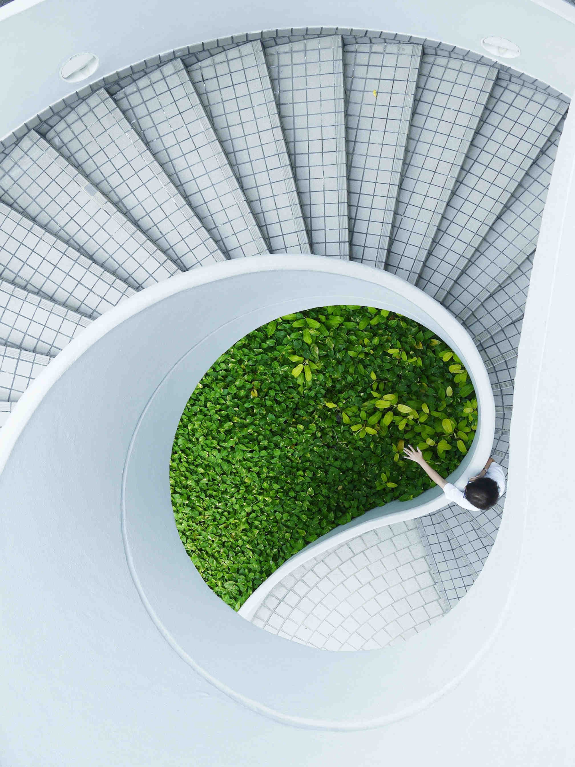 Tassonomia e Green Bond