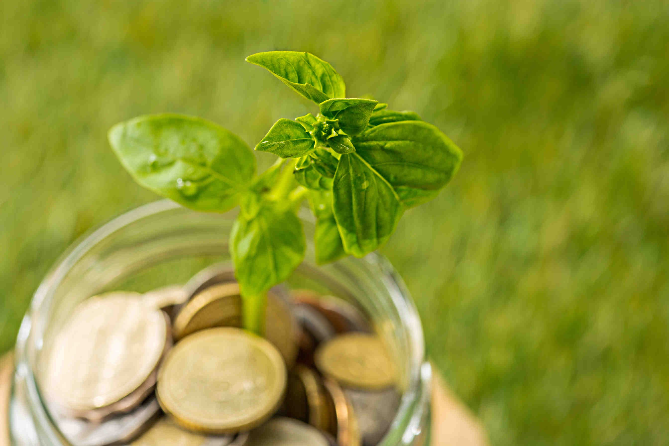 finanza sostenibile