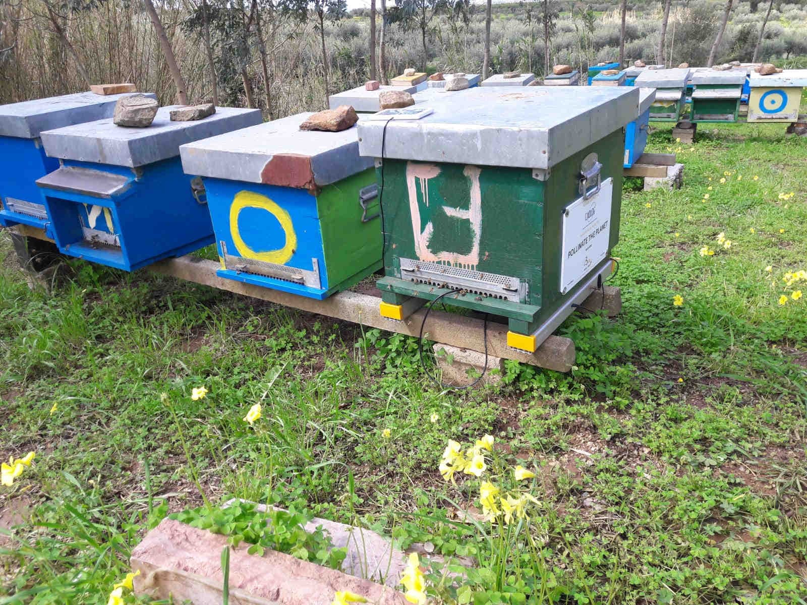 L’Azienda Agricola Apistica di Fabio Galati