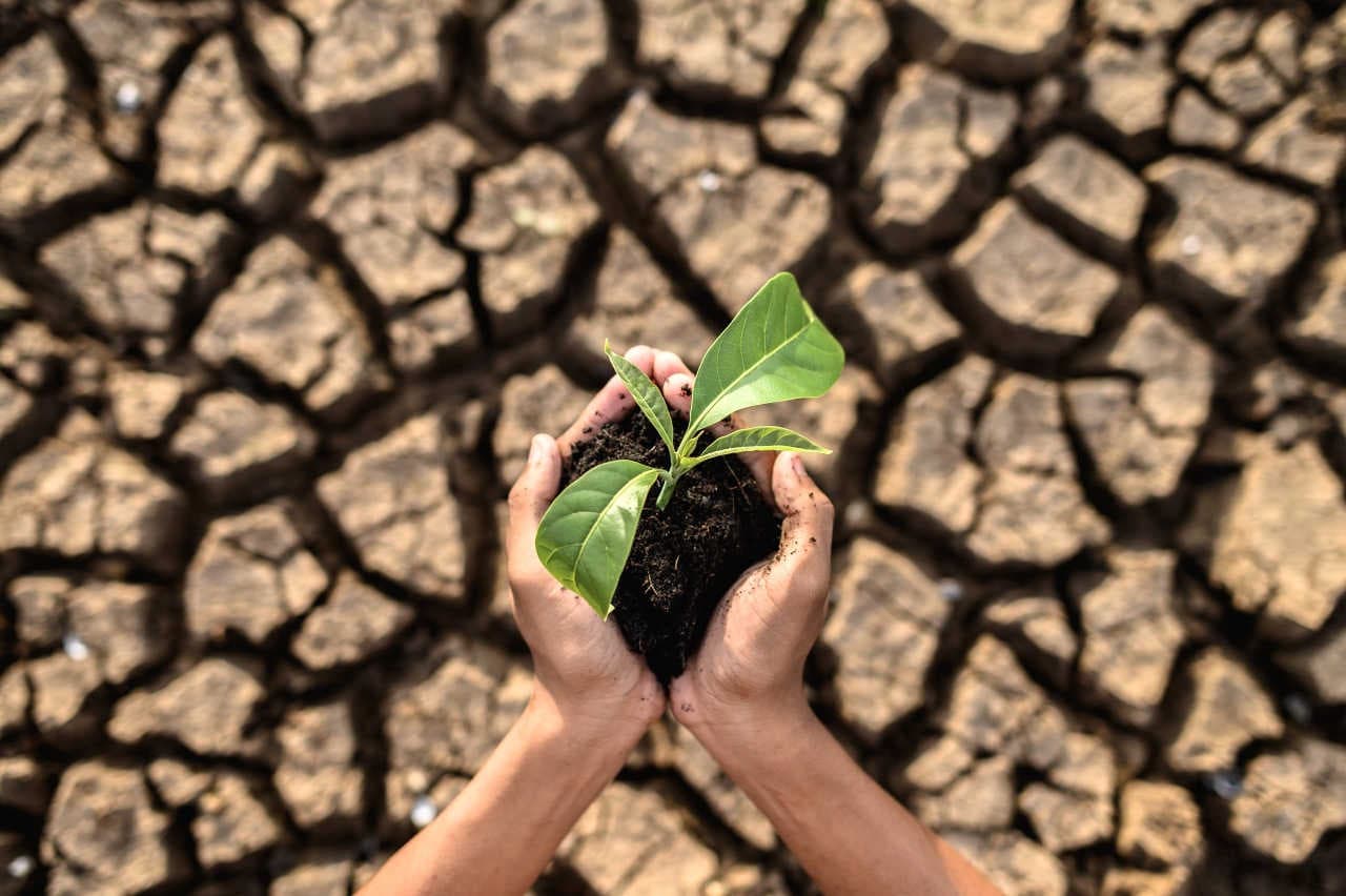 Germania stanzia 600.000 euro per supportare lo STDF e la resilienza climatica