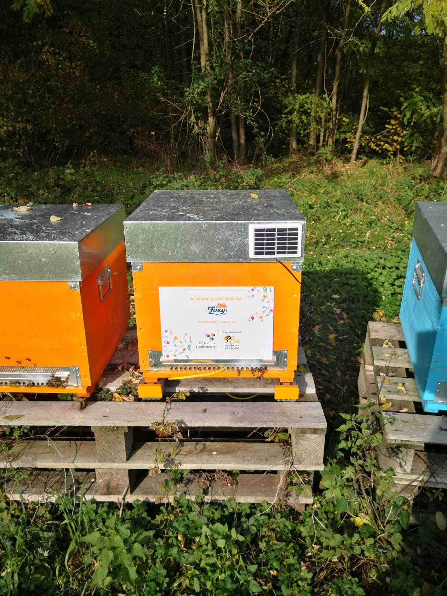 Foxy y 3Bee: tecnología avanzada para la biodiversidad