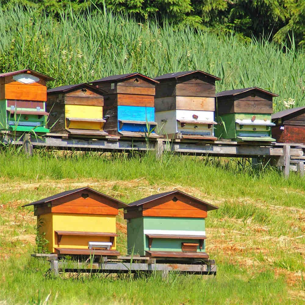 Perched on a 3Bee tour on the road?