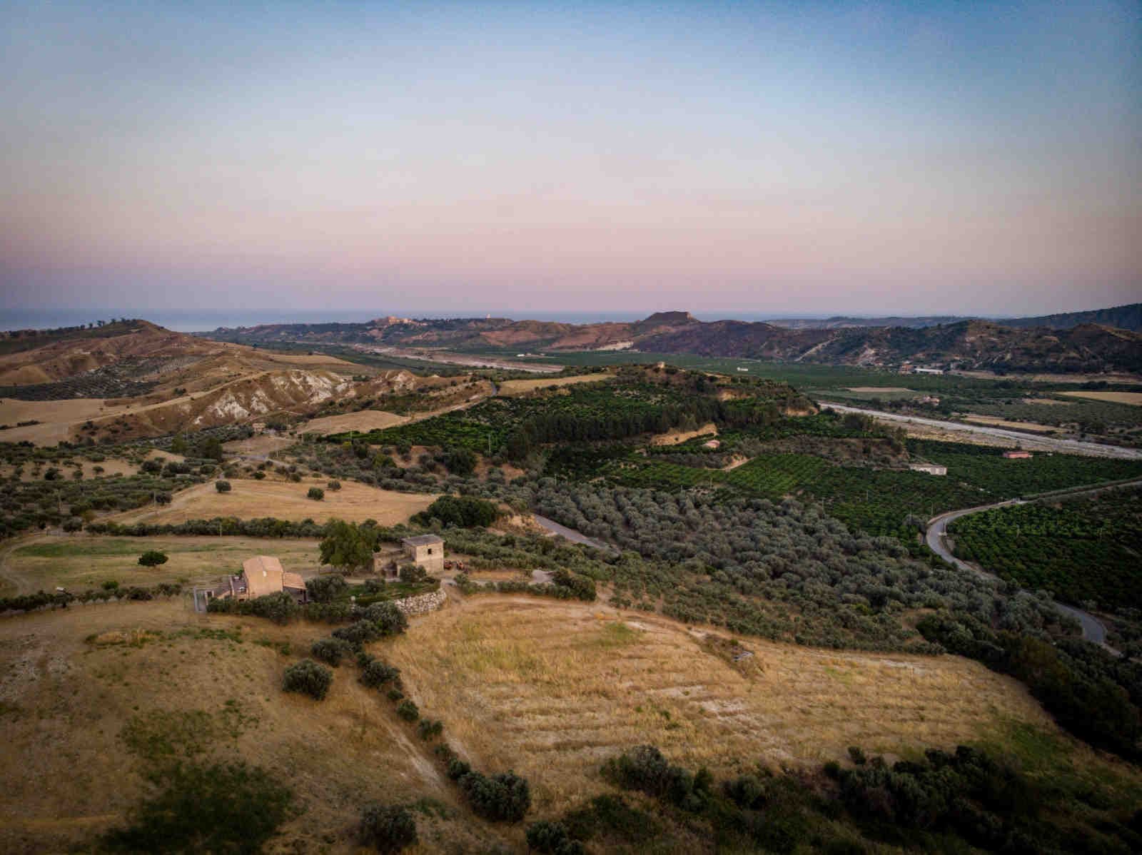3Bee: Oasis de biodiversidad para el Día del Medio Ambiente