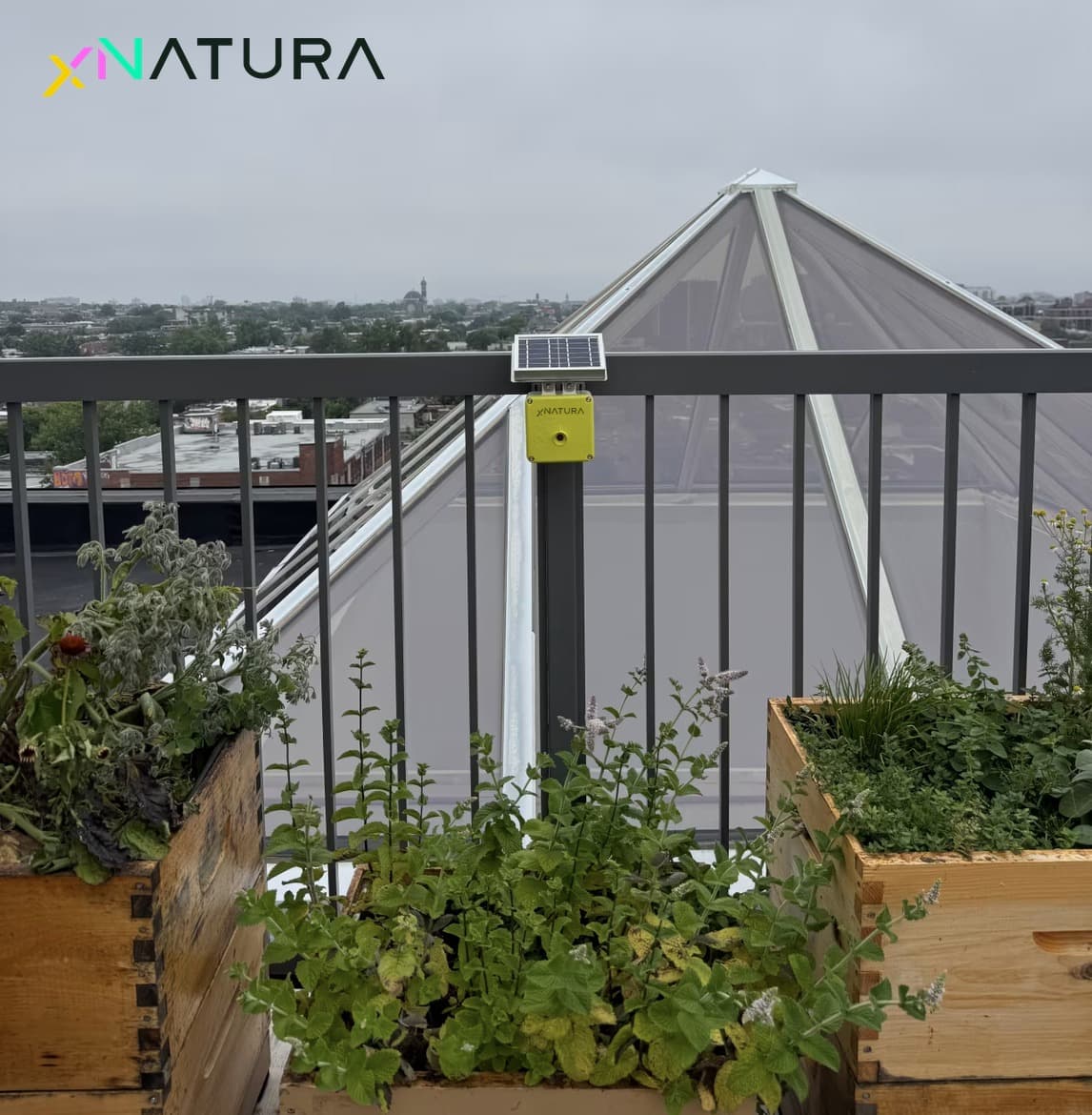 Sensore XNatura Spectrum sul tetto della sede di Alvéole a Montréal