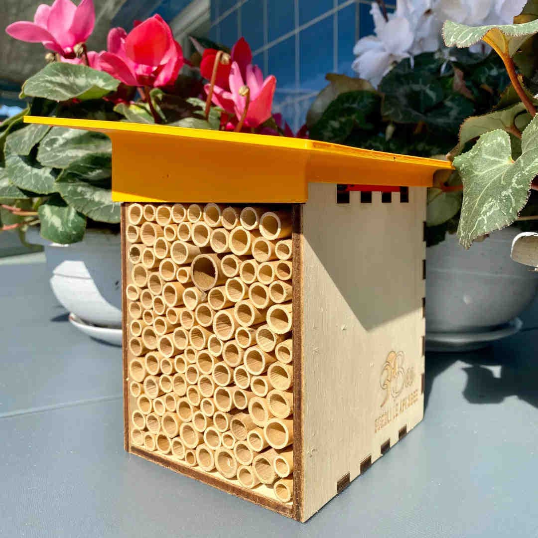 The Polly House: provide a safe haven for solitary bees
