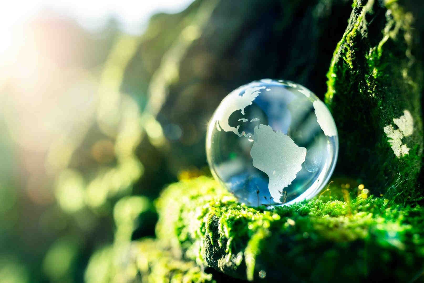 Bilancio di sostenibilità, sociale e integrato: cosa sono?