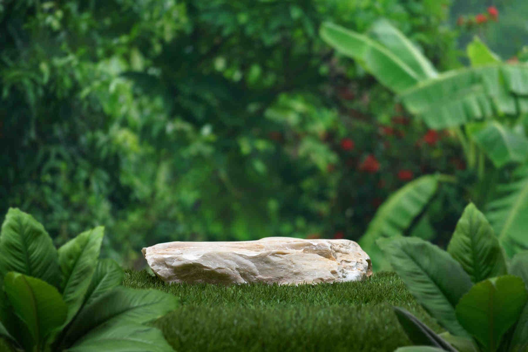 Come le aziende possono contribuire alla Nature Restoration Law