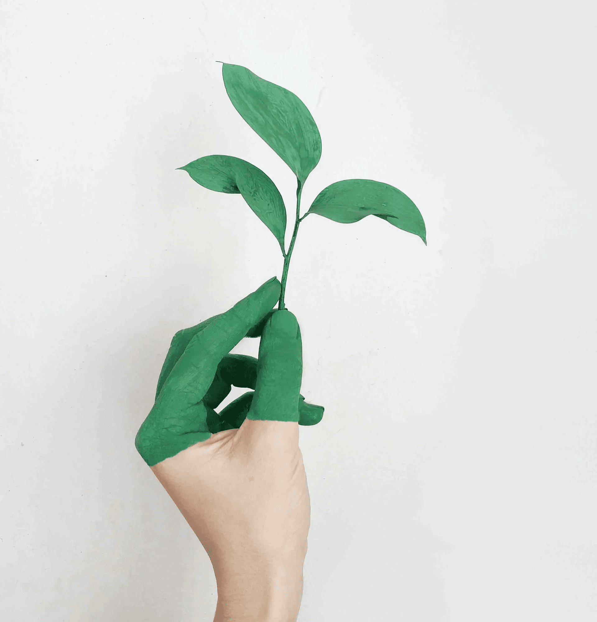 GREEN HUSHING 3BEE