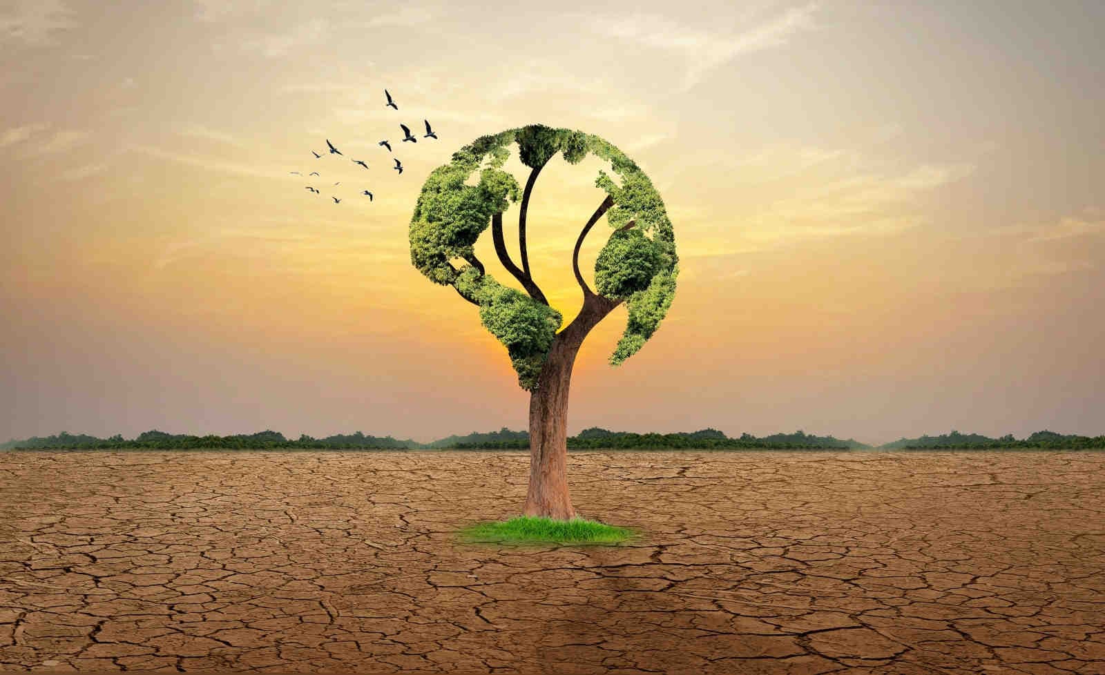 Asia Centrale: la sfida climatica e la collaborazione con l'Unione Europea