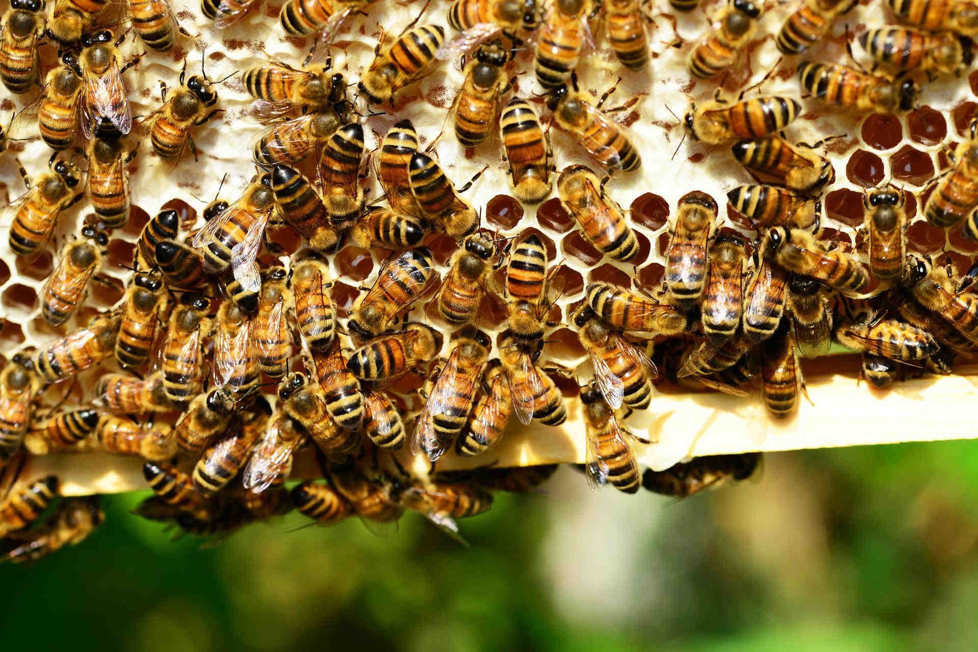 Regalo made in Italy, ecologico e solidale